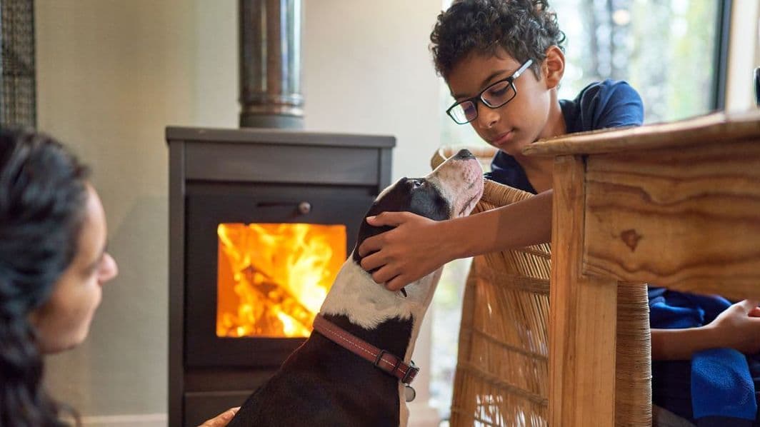 Ein Junge sitzt an einem Tisch vor einem Kamin und streichelt einen Hund. 