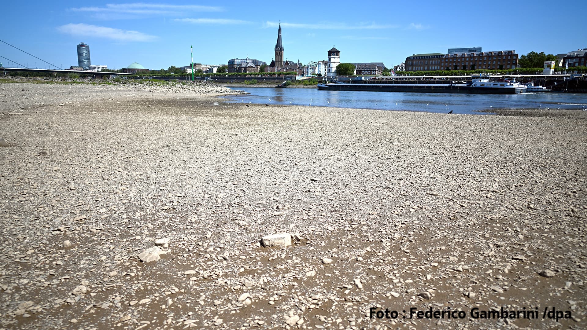 Trockener, steiniger Rheinuferbereich bei Niedrigwasser in Düsseldorf.