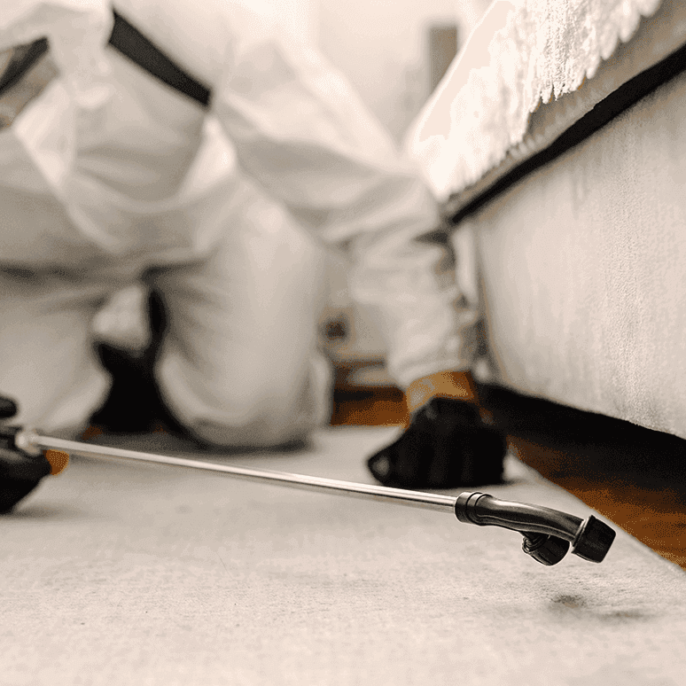 Eine Person in Schutzkleidung und Handschuhen kniet auf dem Boden und sprüht mit einer langen Düse unter ein Sofa. Der Fokus liegt auf der Düse, die nahe am Teppichboden ausgerichtet ist.
