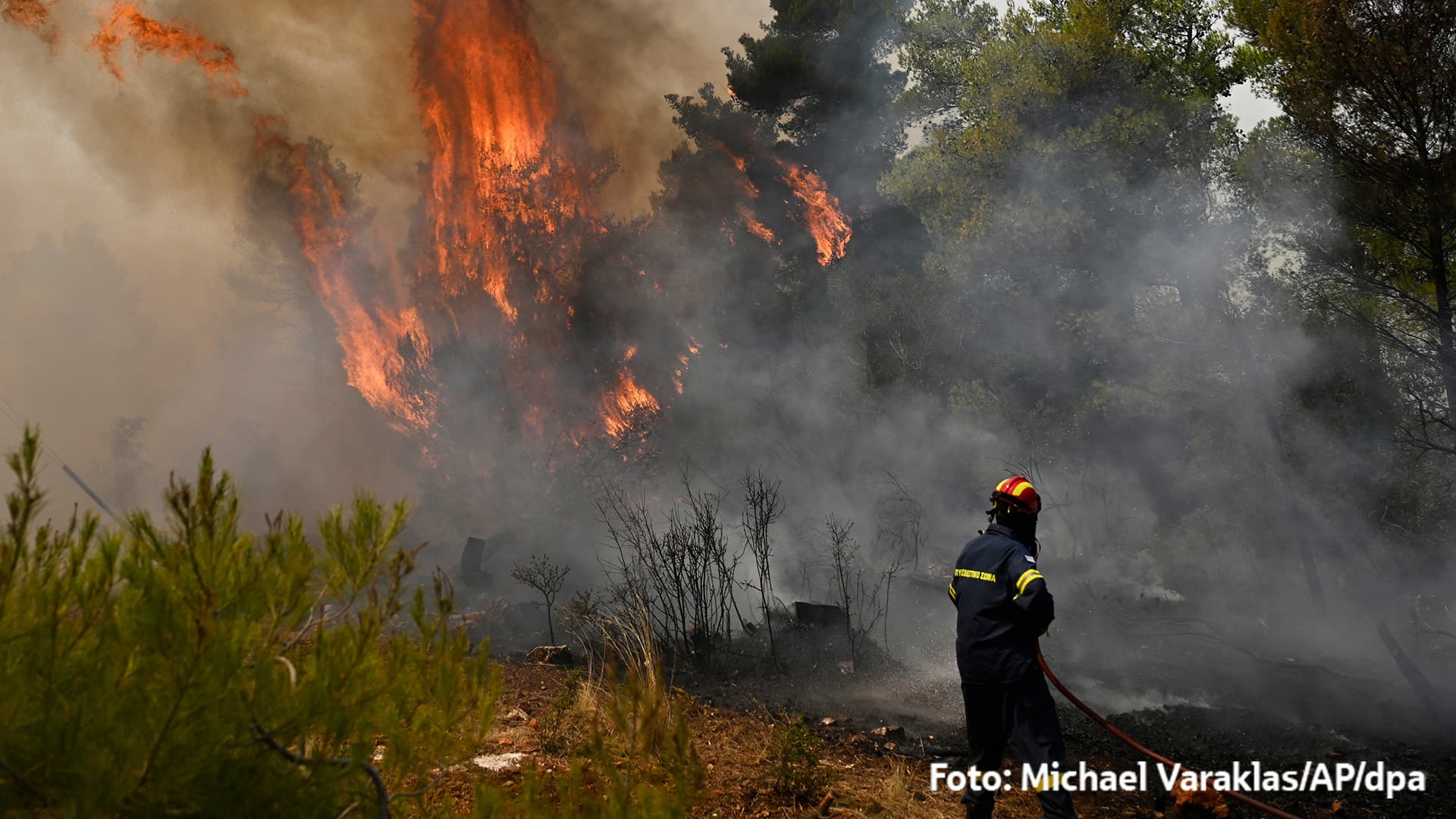 Feuerwehrmann löscht mit Schlauch einen Waldbrand; Flammen schlagen in den Baumwipfeln, dichter Rauch liegt in der Luft.