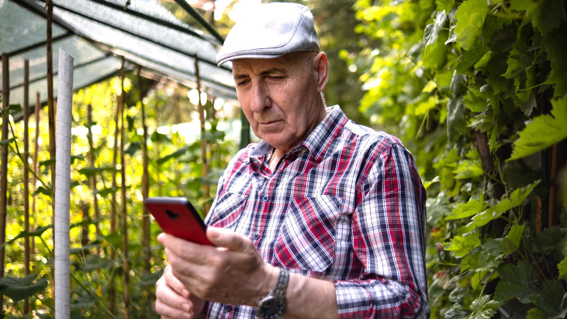 Ein älterer Mann steht in einem Garten, neben einem Gewächshaus. Er schaut auf sein Handy.