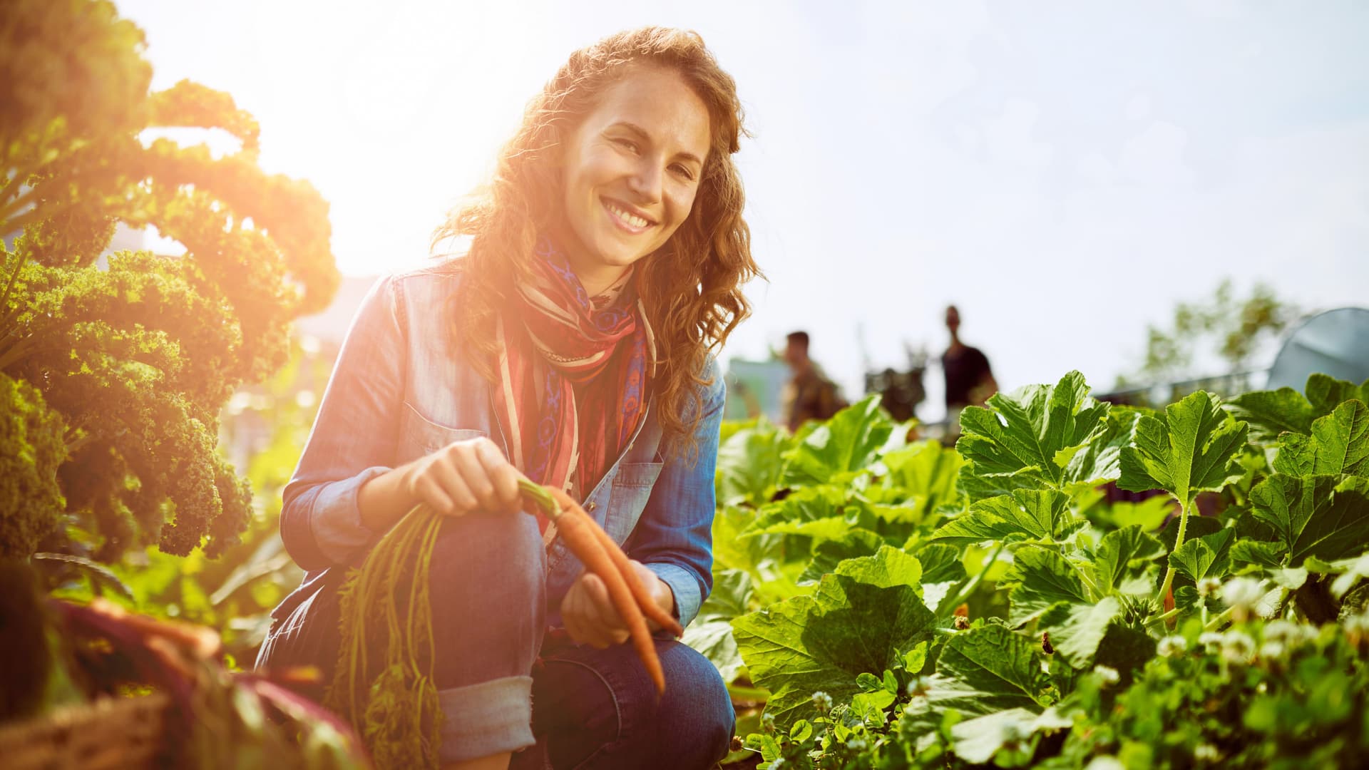 Gärtnerin, die sich im Garten um Pflanzen kümmert und einen üppigen Korb voller frischer Produkte einsammelt