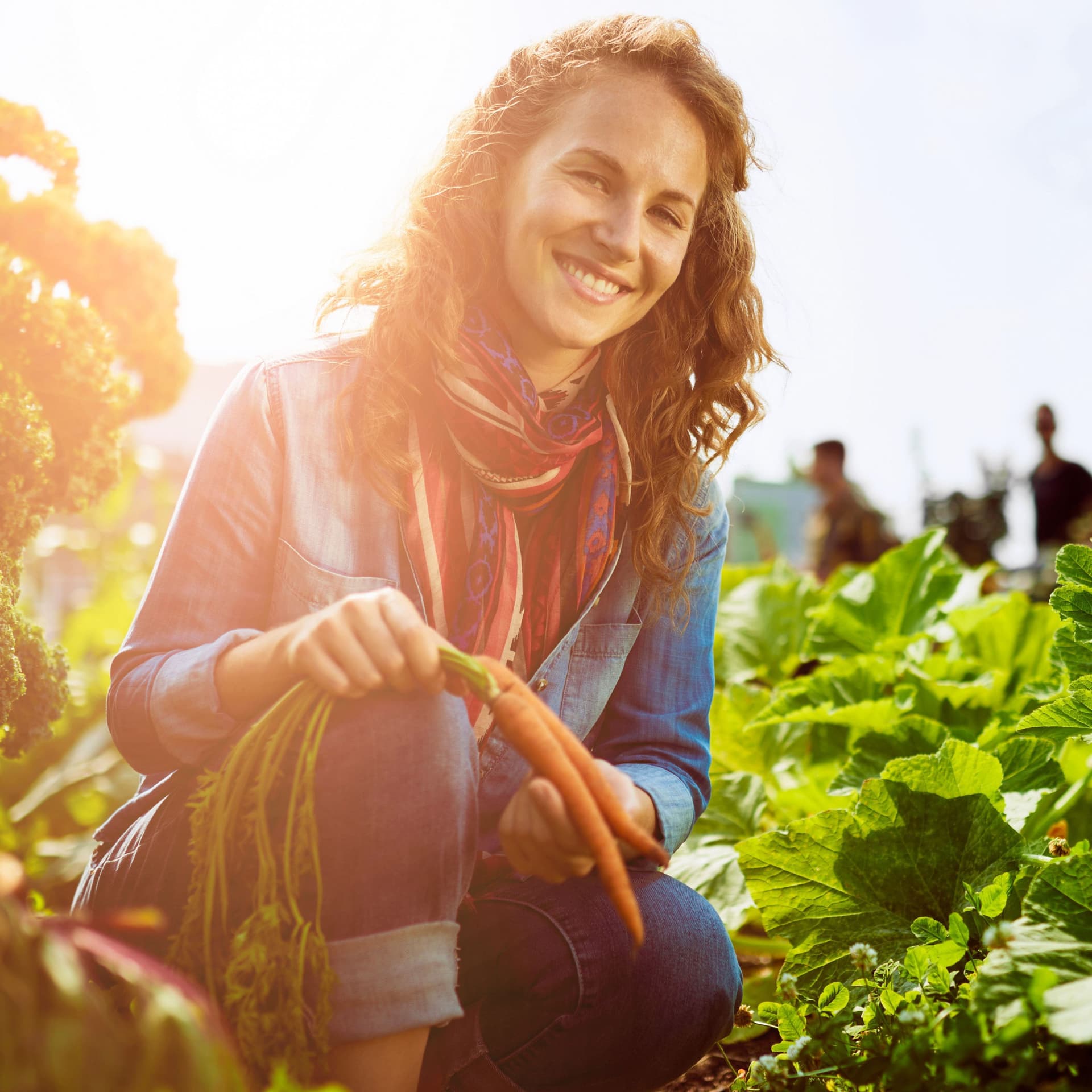 Gärtnerin, die sich im Garten um Pflanzen kümmert und einen üppigen Korb voller frischer Produkte einsammelt