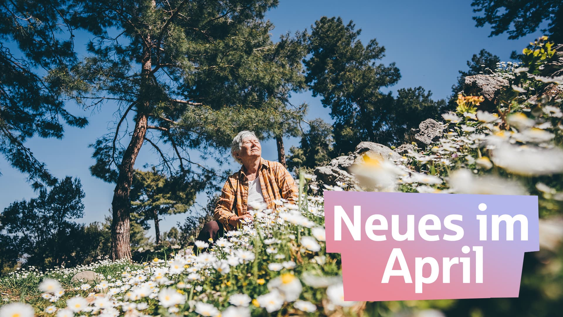 Eine alte Frau sitzt auf einer Wiese voller Gänseblümchen. Text unten rechts: Neues im April