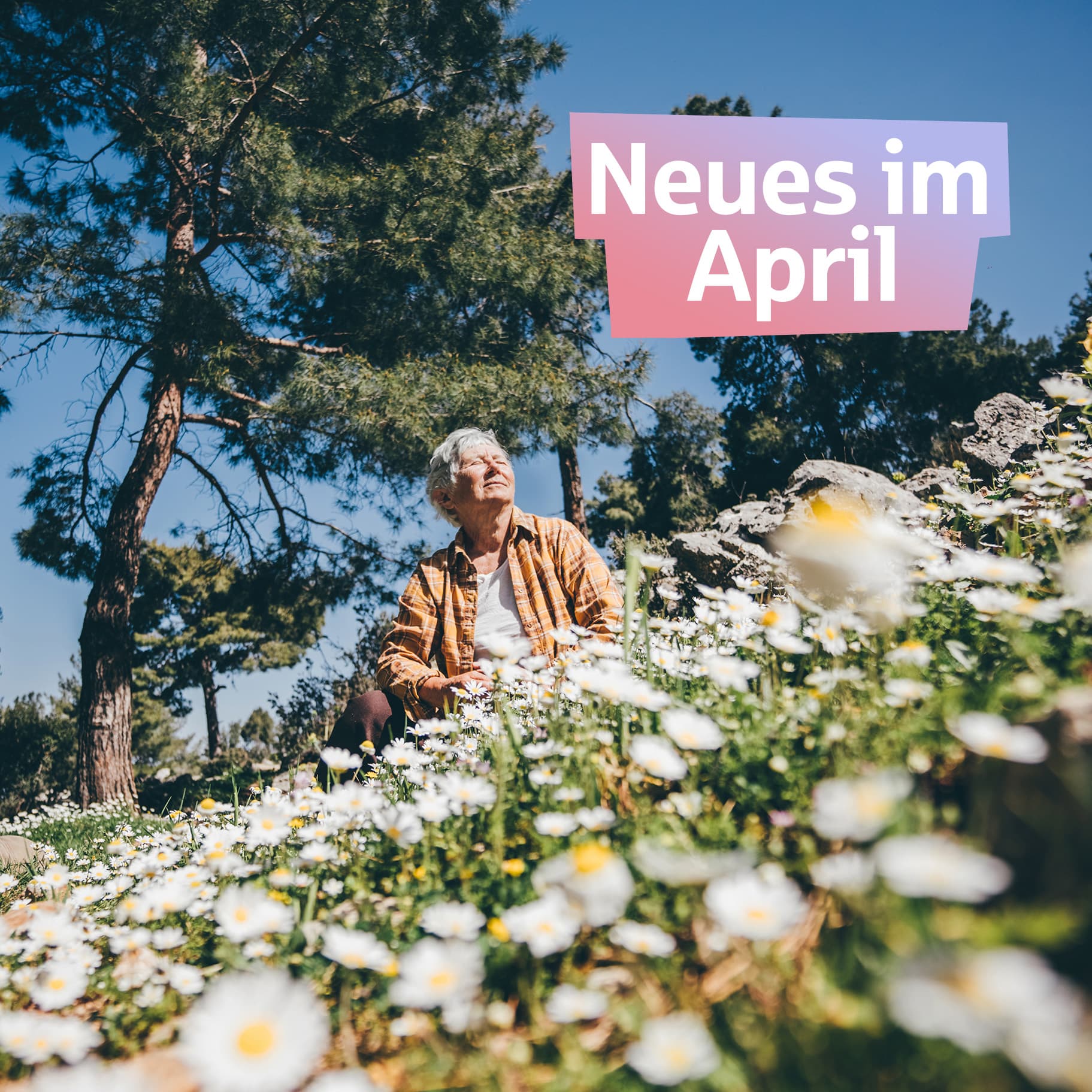 Eine alte Frau sitzt auf einer Wiese voller Gänseblümchen. Text oben rechts: Neues im April