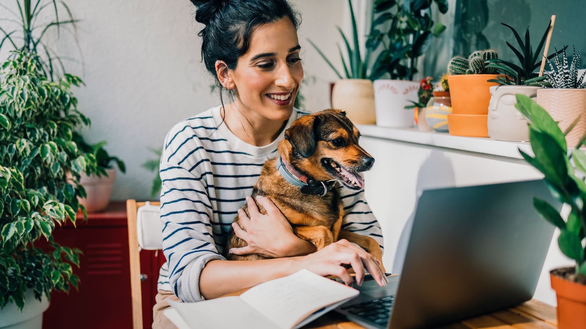 Eine Frau mit ihrem Hund auf dem Schoß sitzt auf einem Balkon. Sie schaut und tippt auf einen Laptop, der vor ihr steht.