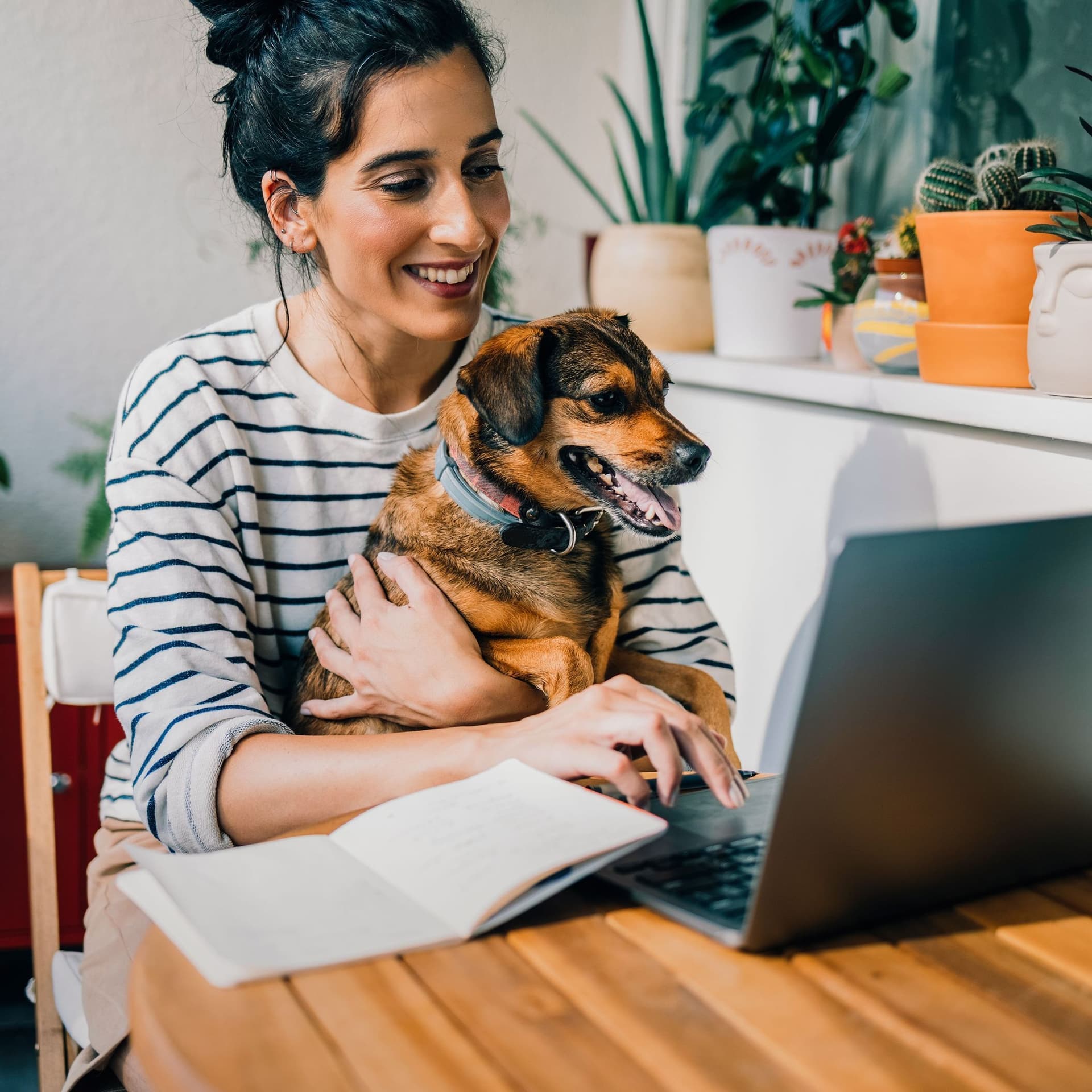 Eine Frau mit ihrem Hund auf dem Schoß sitzt auf einem Balkon. Sie schaut und tippt auf einen Laptop, der vor ihr steht.