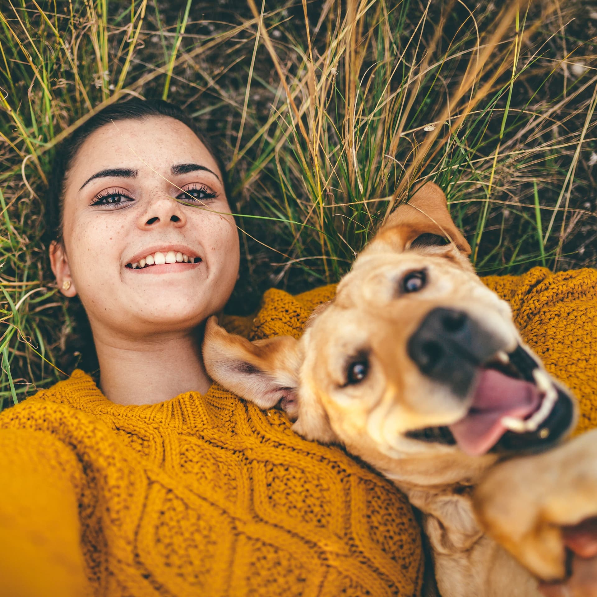 Eine junge Frau liegt auf einer Wiese und macht von sich und ihrem Hund ein Selfie.