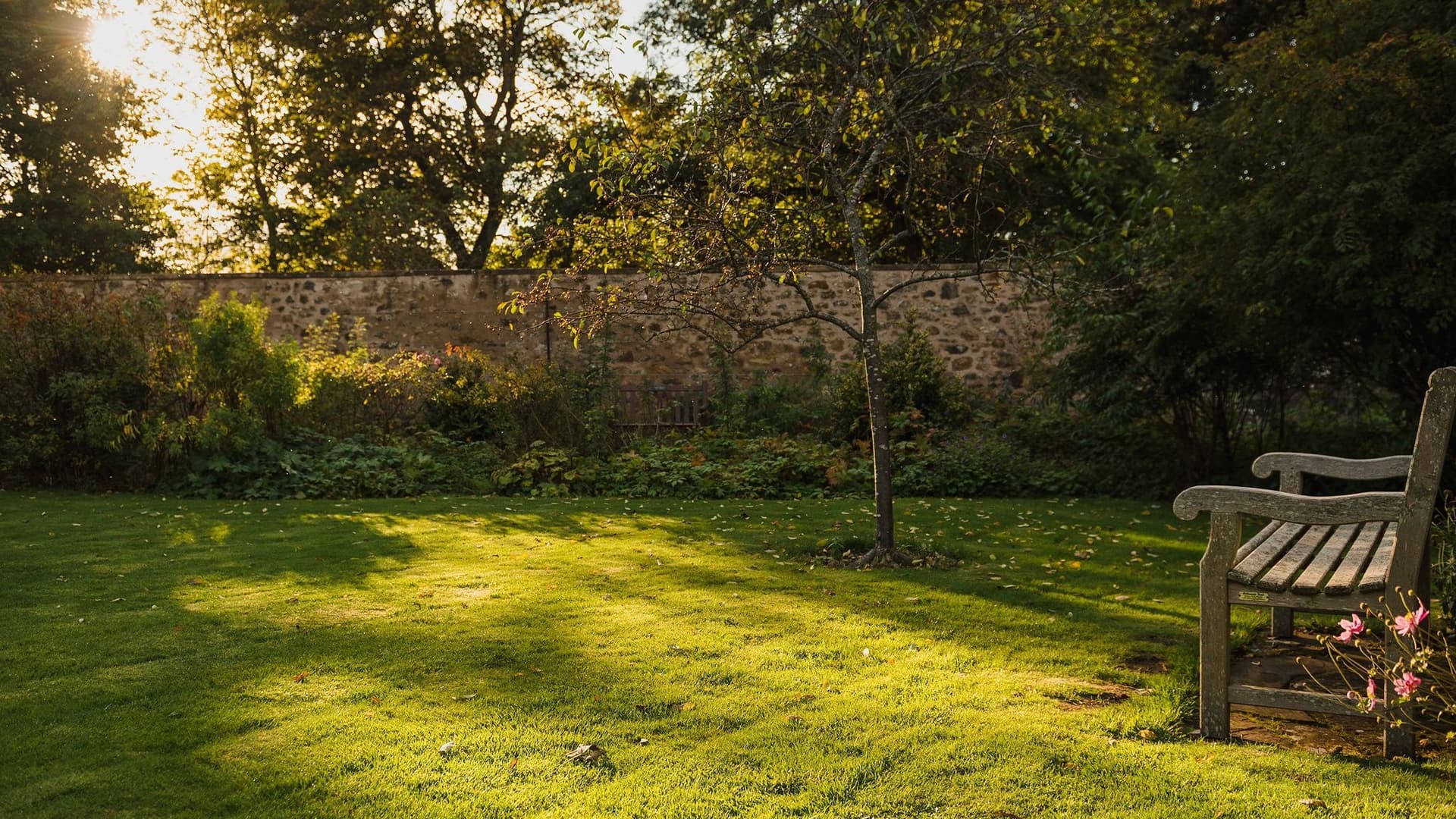 Abendsonne fällt auf eine Gartenbank