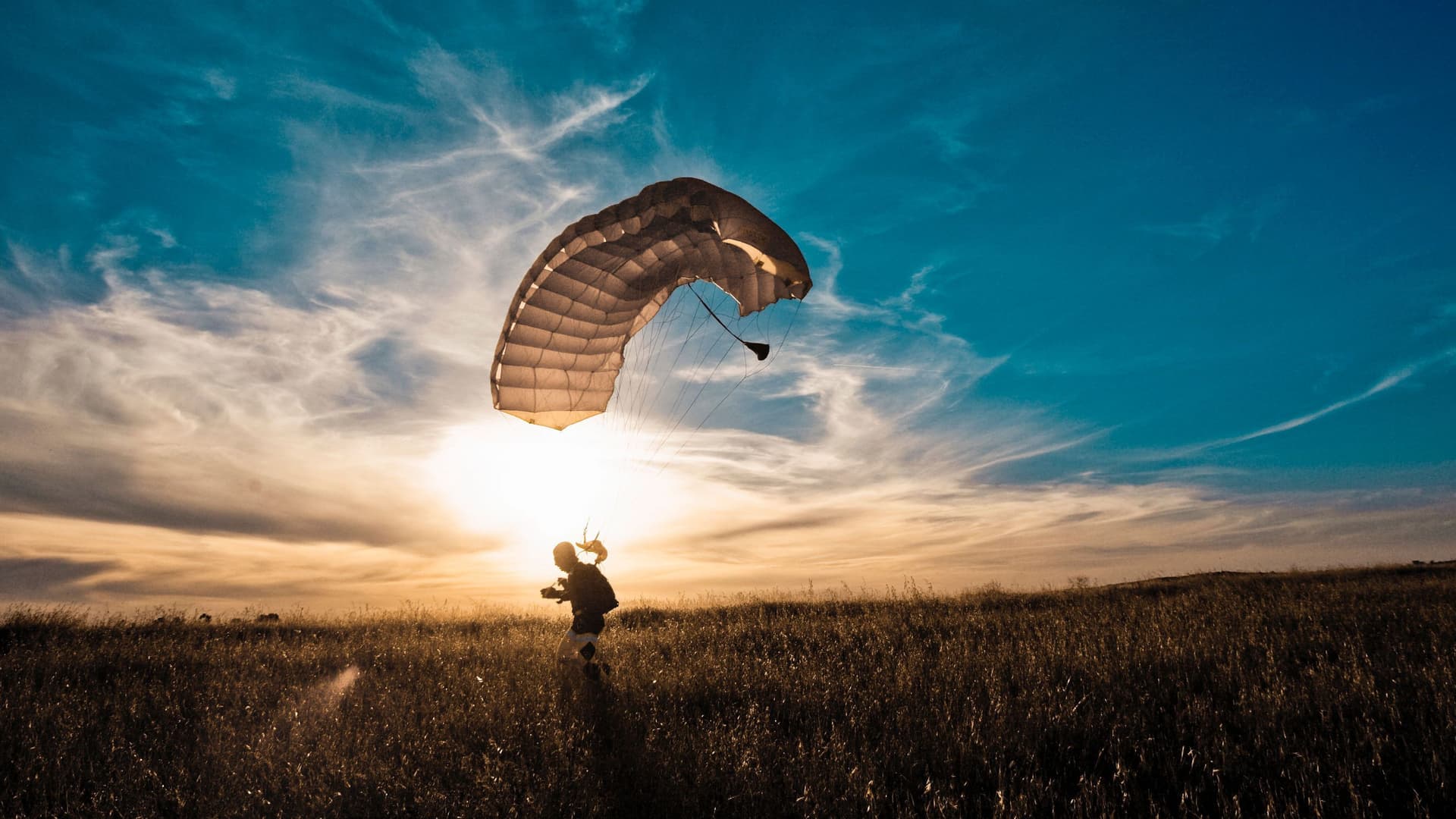 Ein Gleitschirmflieger landet in einem Feld.