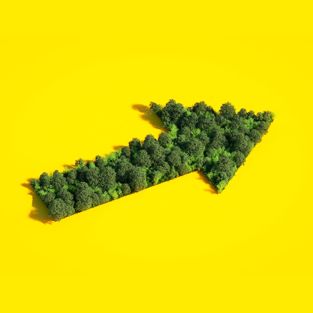 Das Bild zeigt einen grünen Pfeil, der aus dicht aneinandergereihten Bäumen und Sträuchern geformt ist und auf einem kräftig gelben Hintergrund nach rechts weist