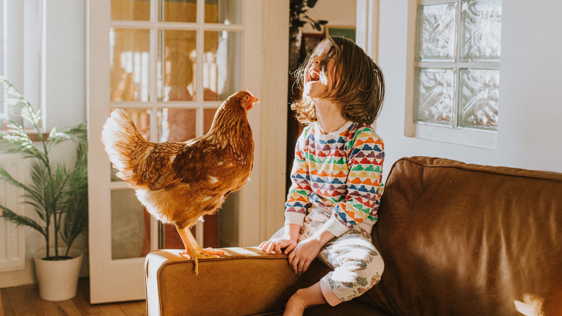 Huhn und ein glückliches Kind zusammen auf einem Ledersofa in einem sonnigen Wohnraum
