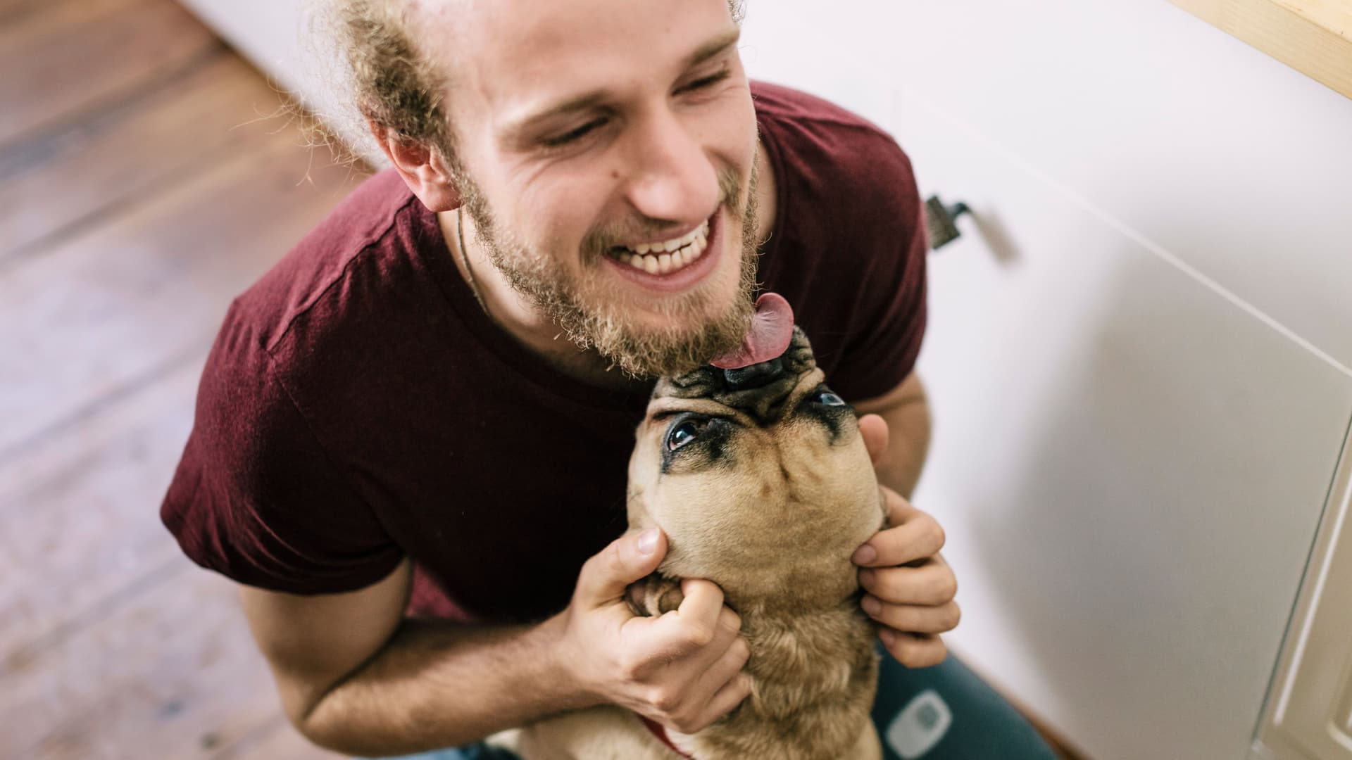 Hund leckt das Gesicht seines Besitzers.