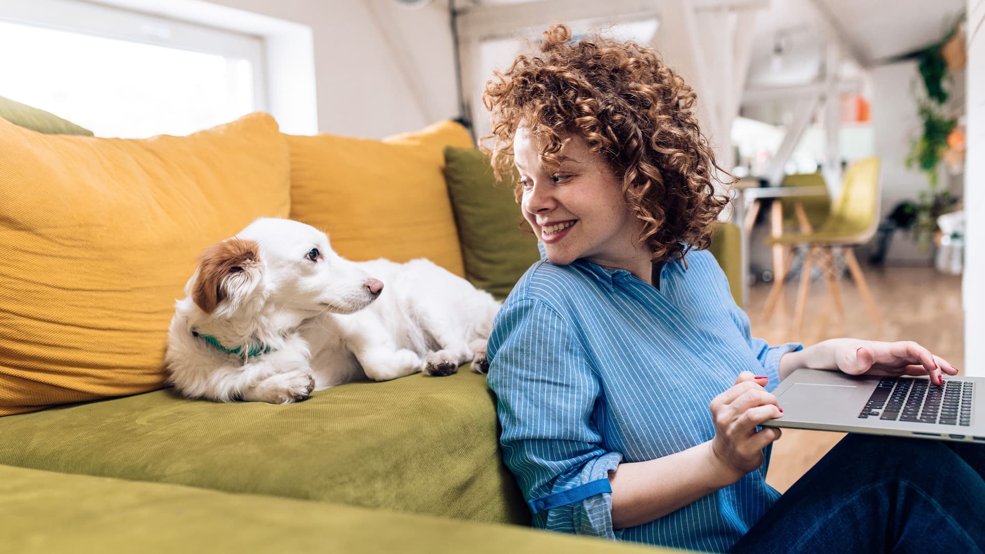 Eine junge Frau sitzt vor ihrem Sofa mit einem Laptop auf dem Schoß. Sie dreht sich um und guckt zu ihrem Hund, der auf dem Sofa sitzt.