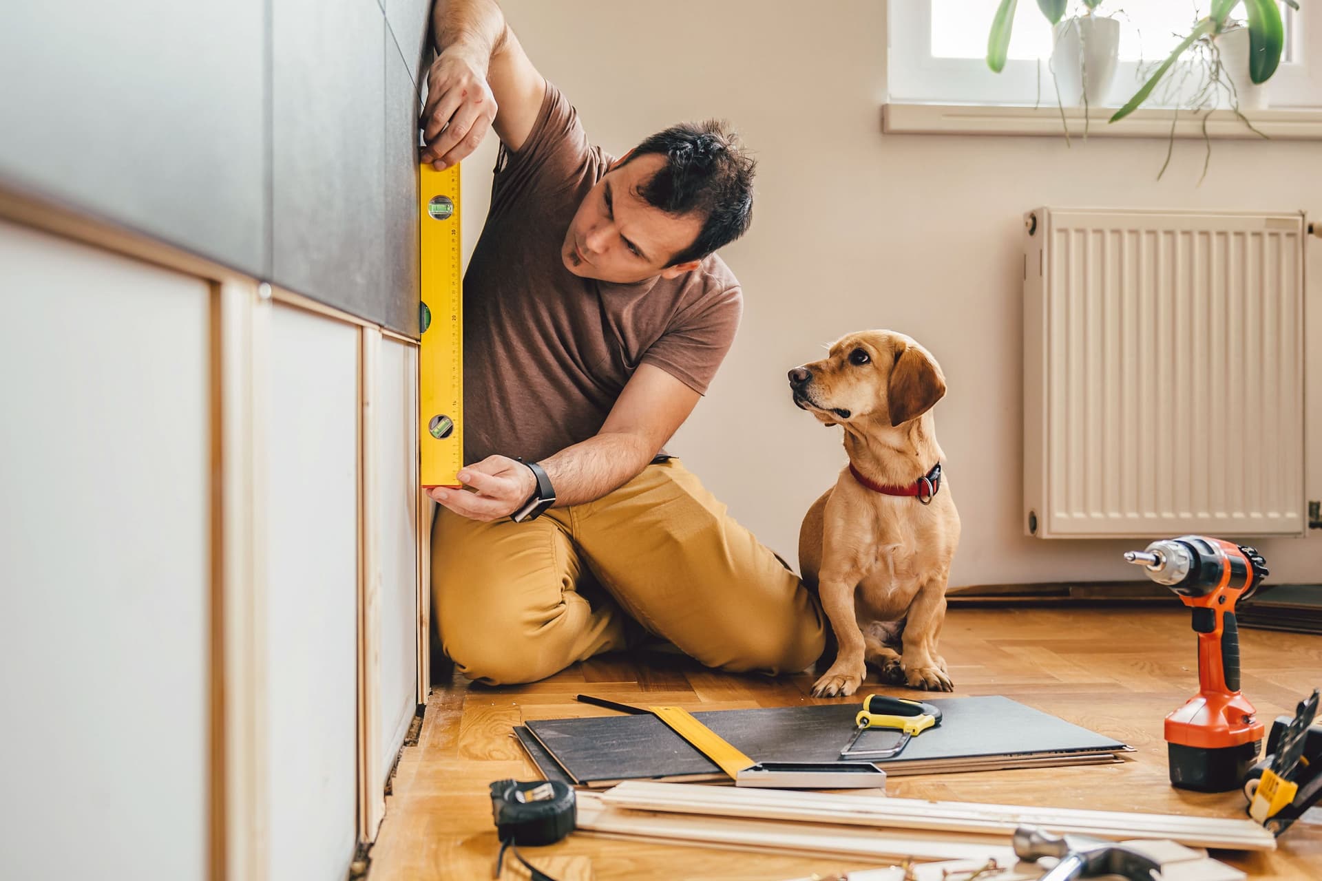 Mann und sein Hund bei Renovierungsarbeiten zu Hause