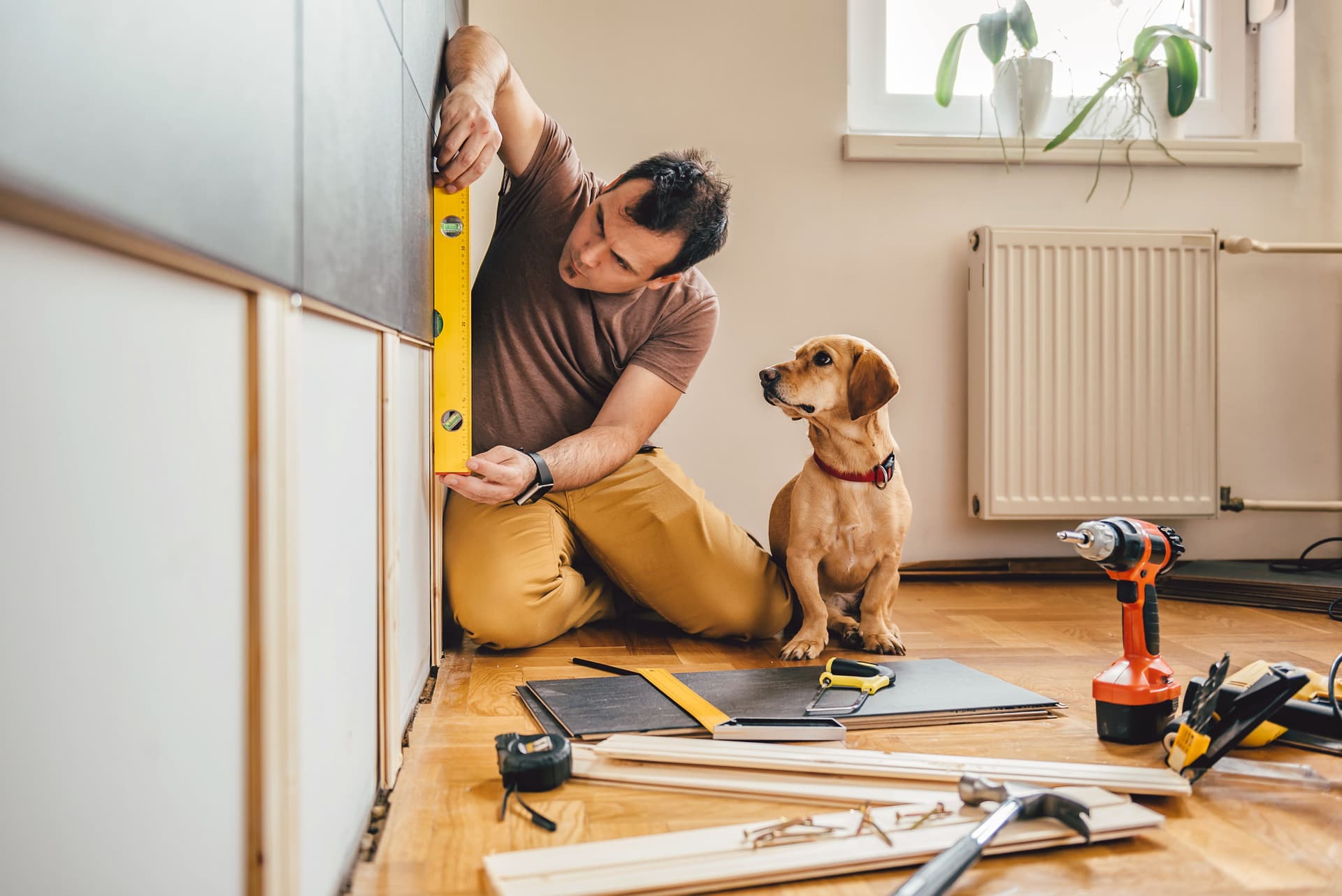 Mann und sein Hund bei Renovierungsarbeiten zu Hause