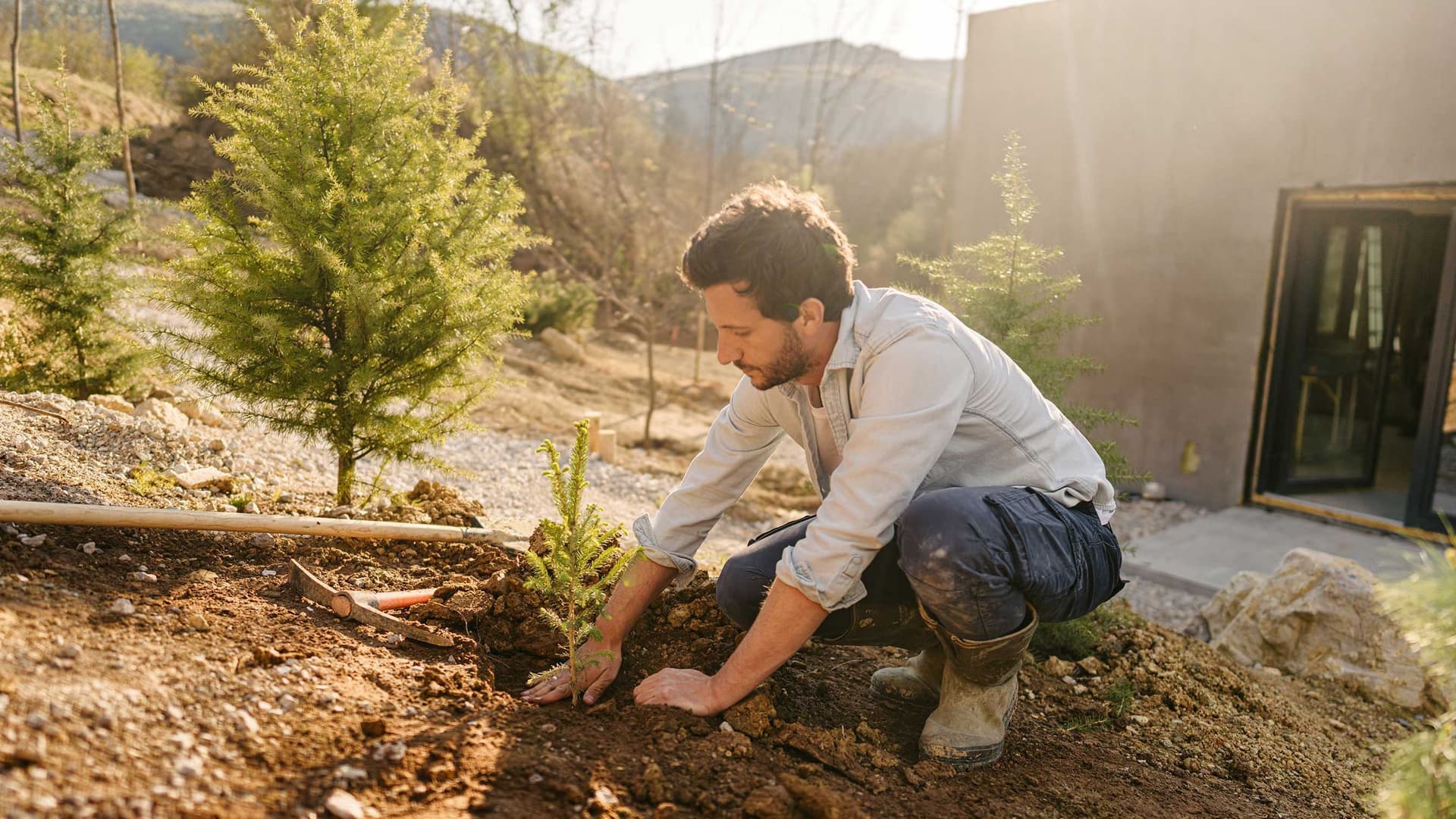 Ein junger Mann in Arbeitskleidung, bestehend aus einer robusten Arbeitshose und einem hochgekrempelten Hemd, sitzt in der Hocke und pflanzt sorgfaeltig mit beiden Haenden eine kleine Tanne in seinen Garten. 