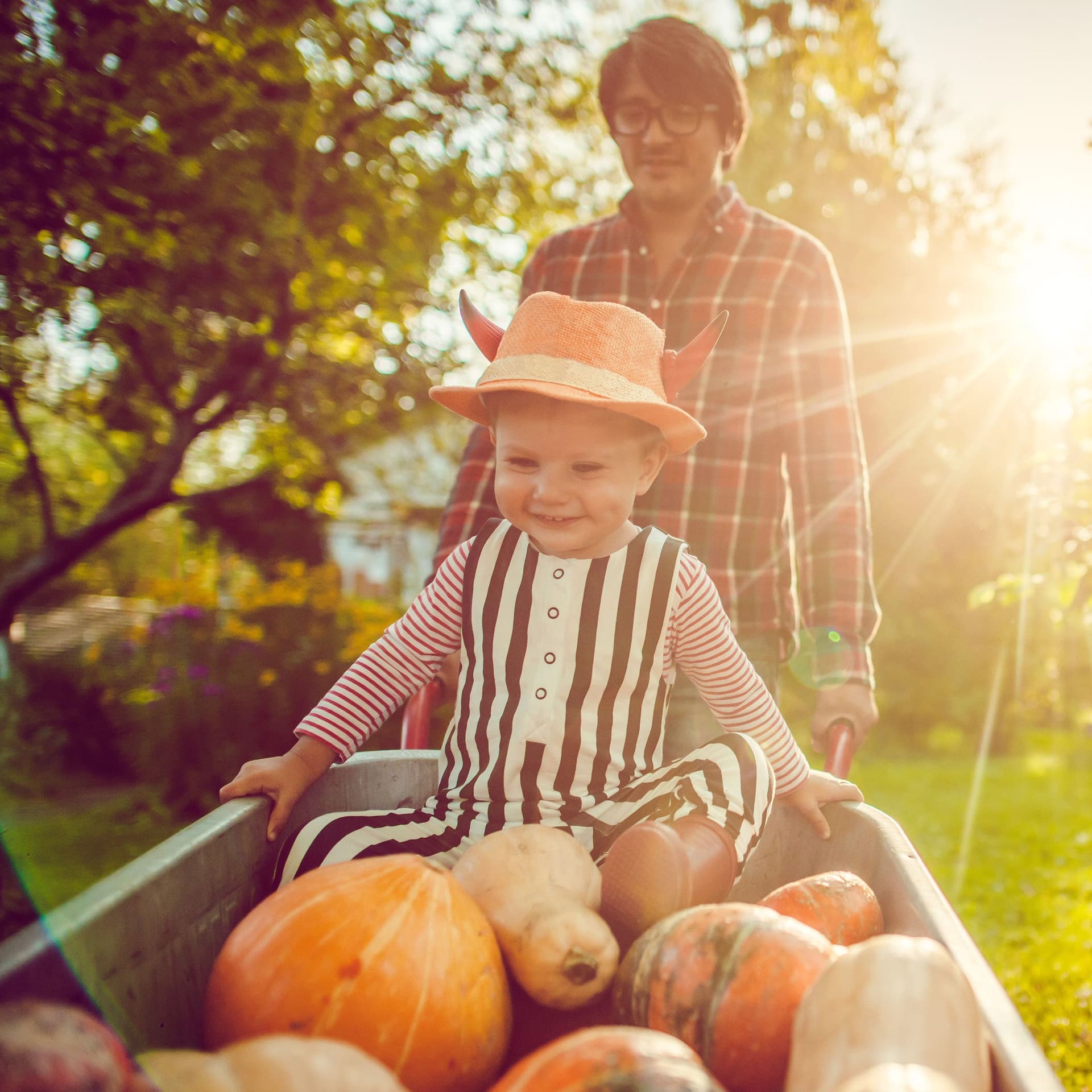 Ein Mann fährt sein Kind in einer Schubkarre voll Kürbisse durch den Garten. Im Hintergrund scheint die Sonne durch die Bäume.