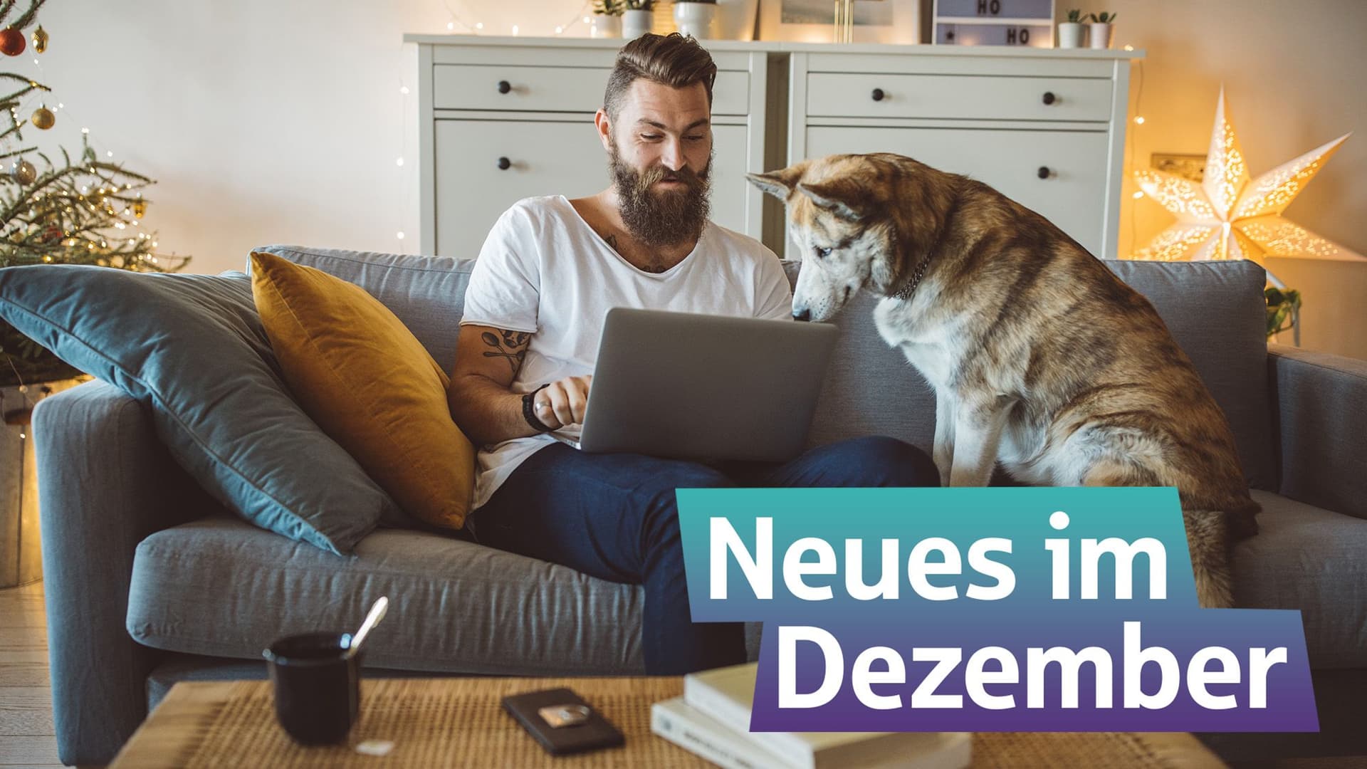 Ein Mann mit seinem Hund auf dem Sofa. Im Hintergrund ein beleuchteter Stern. Im Vordergrund steht auf einem farbigen Hintergrund "Neues im Dezember"