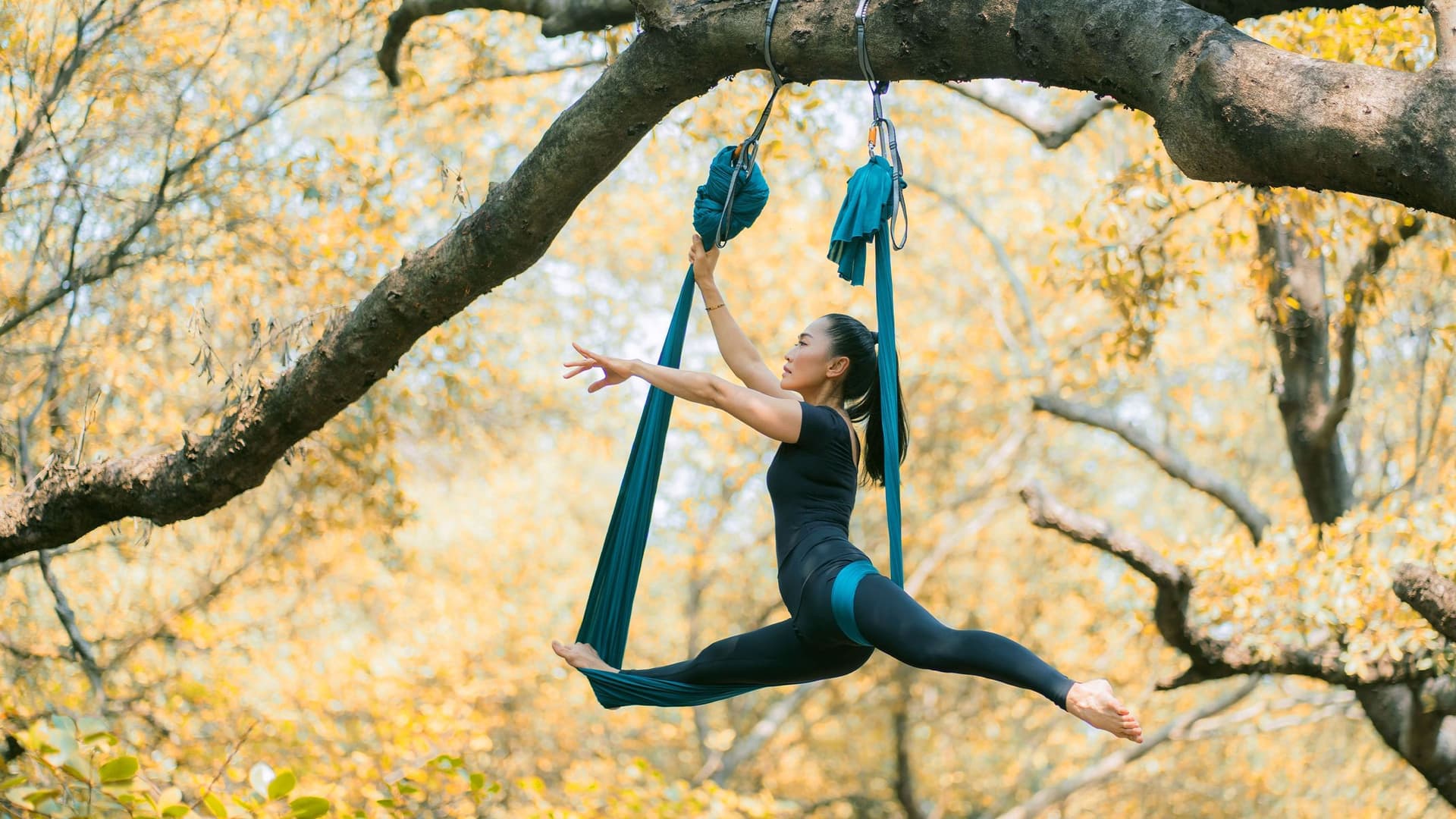 Eine sportliche, junge Frau zeigt eine Aerial-Yoga-Figur vor herbstlichen Bäumen mit gelb gefärbtem Laub. Sie hängt in einem Spagat in einem Aerial-Yoga-Tuch an einem Baumast. 