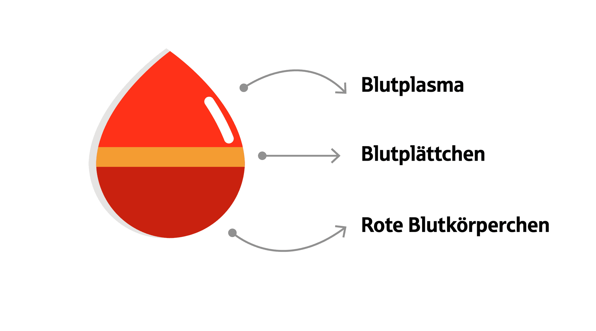 Eine Infografik eines dreigeteilten Blutstropfens mit Beschriftung.