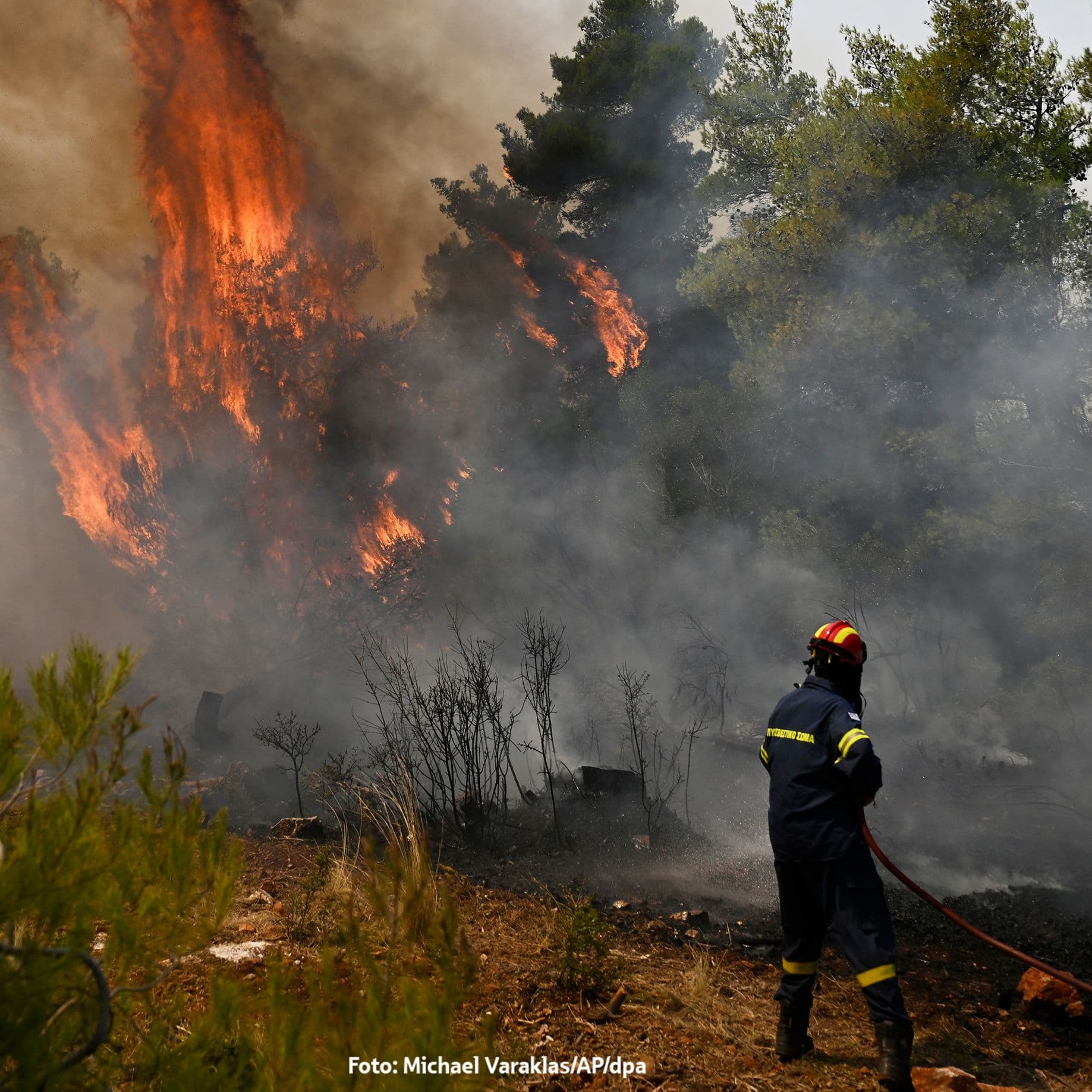 Feuerwehrmann löscht mit Schlauch einen Waldbrand; Flammen schlagen in den Baumwipfeln, dichter Rauch liegt in der Luft.