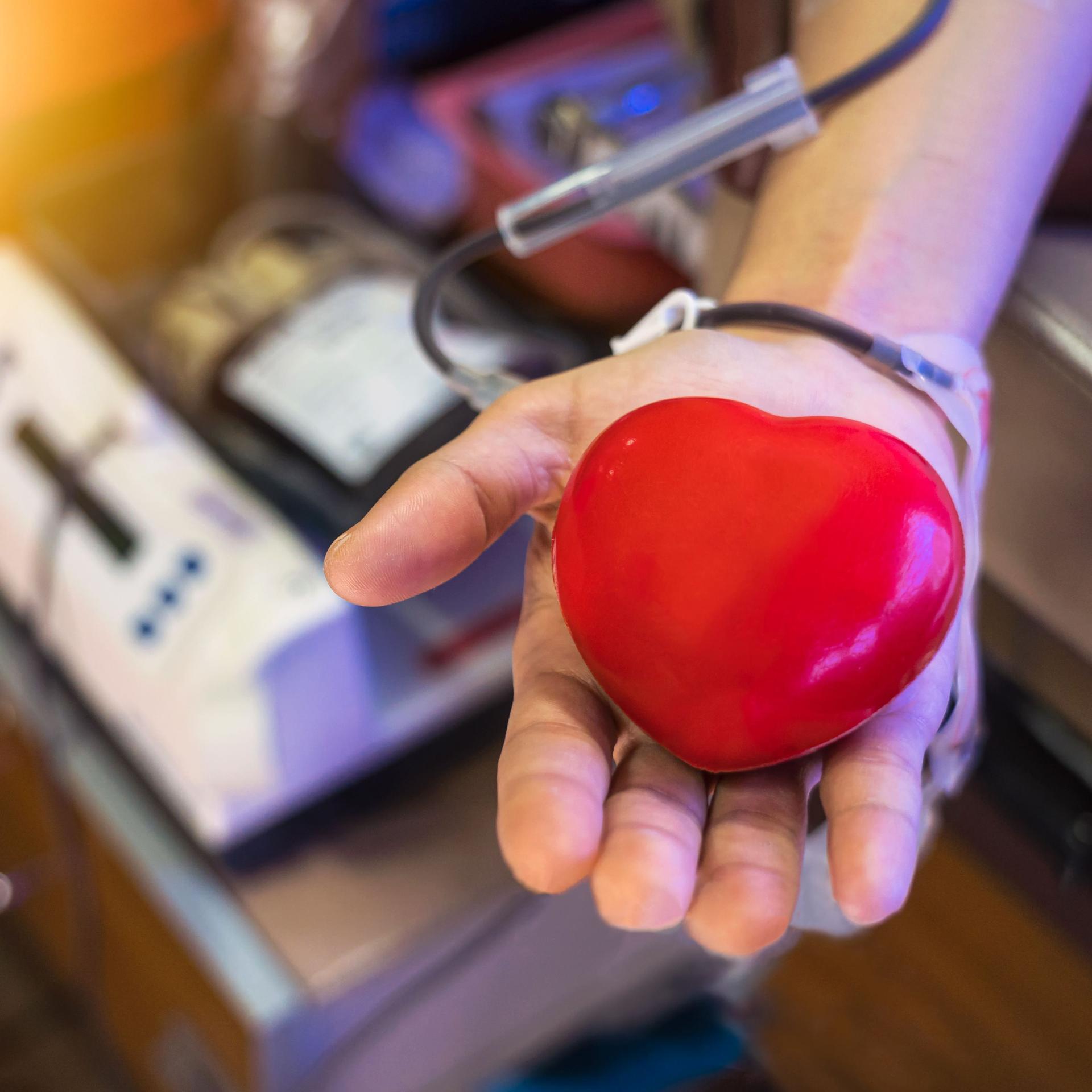 Eine Hand hält ein Herz während einer Bluttransfusion erfolgt.