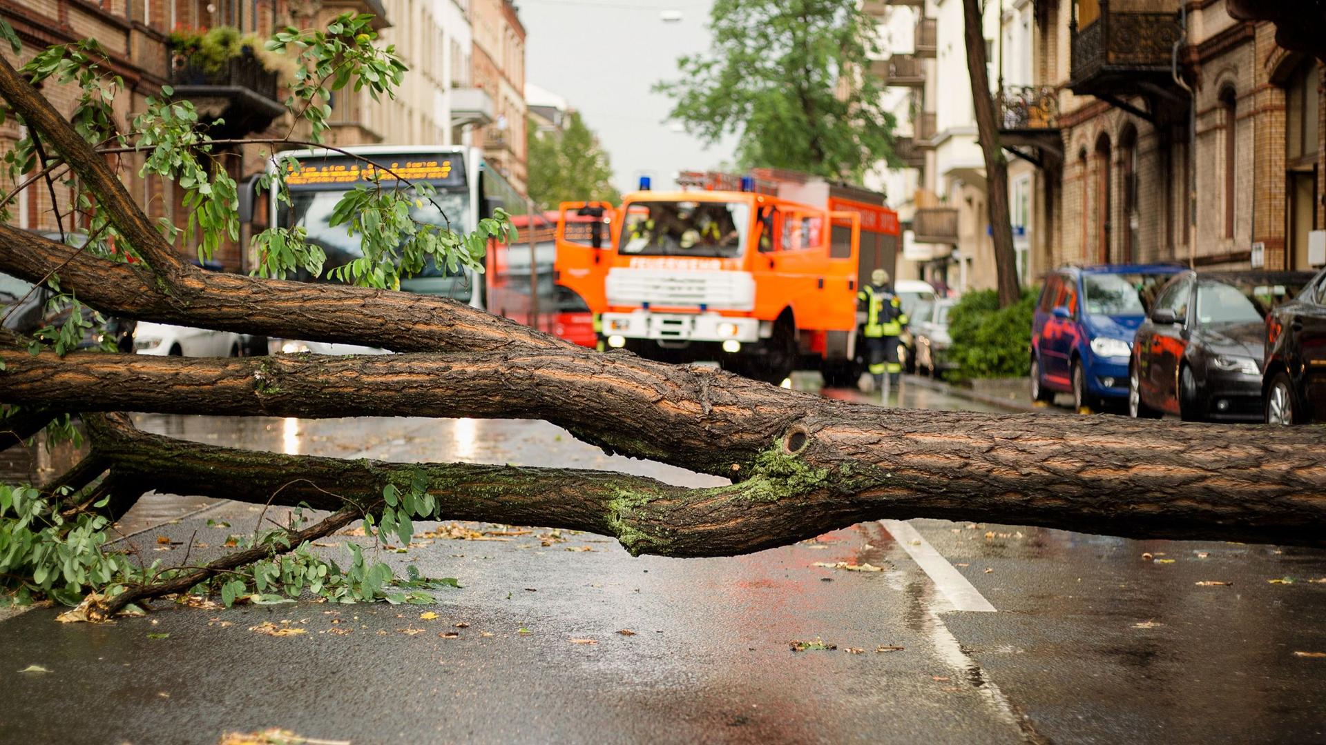 Ein Baum versperrt die Straße nach einem Sturm. Im Hintergrund ein stehender Bus und Feuerwehrfahrzeuge.
