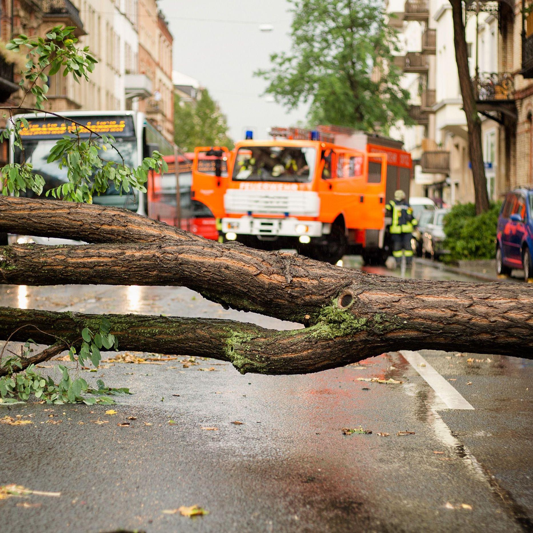 Ein Baum versperrt die Straße nach einem Sturm. Im Hintergrund ein stehender Bus und Feuerwehrfahrzeuge.