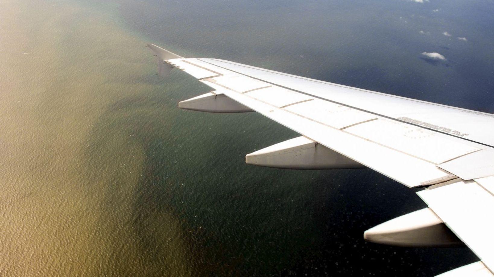 Blick aus einem Flugzeug auf Küstenabschnitt.
