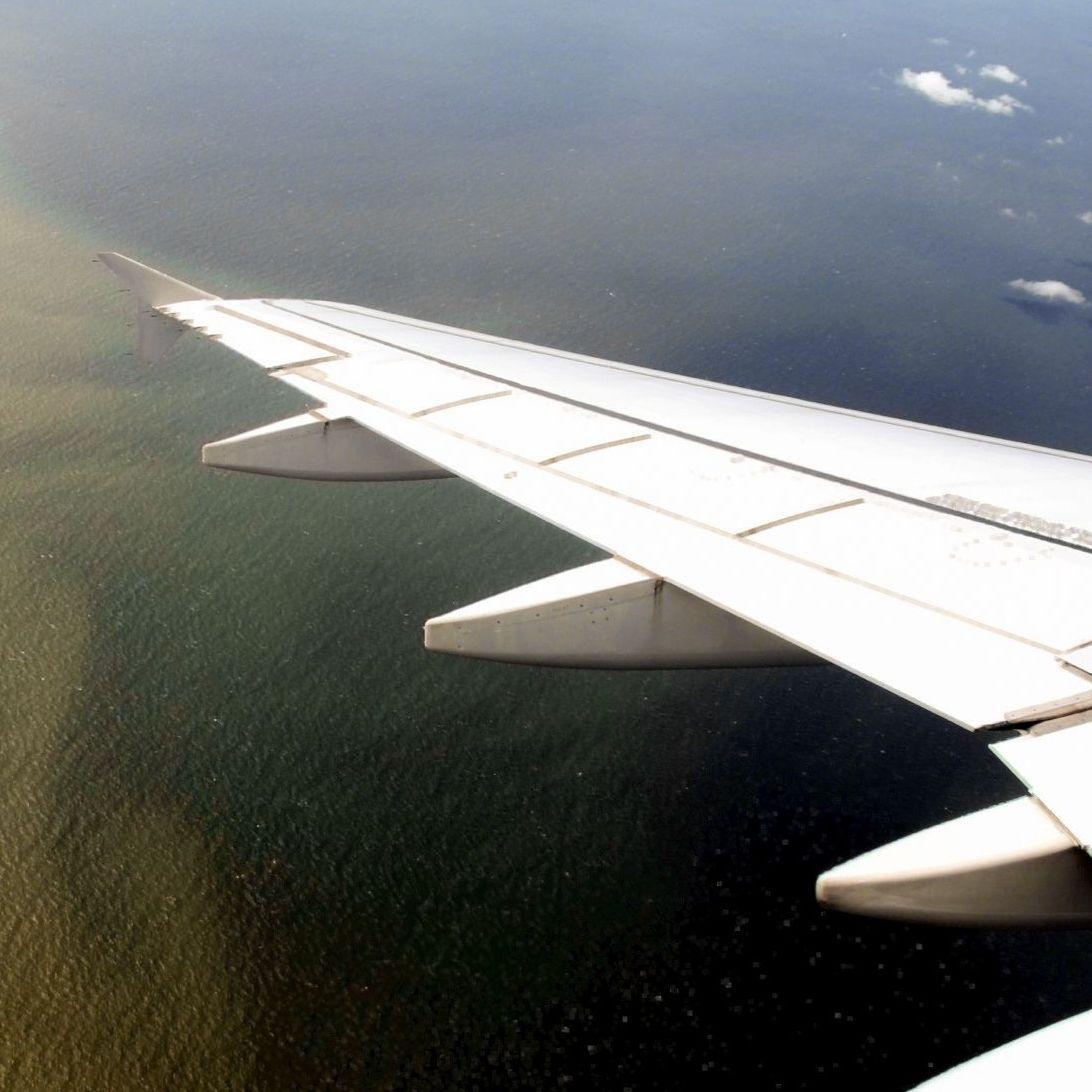 Blick aus einem Flugzeug auf Küstenabschnitt.
