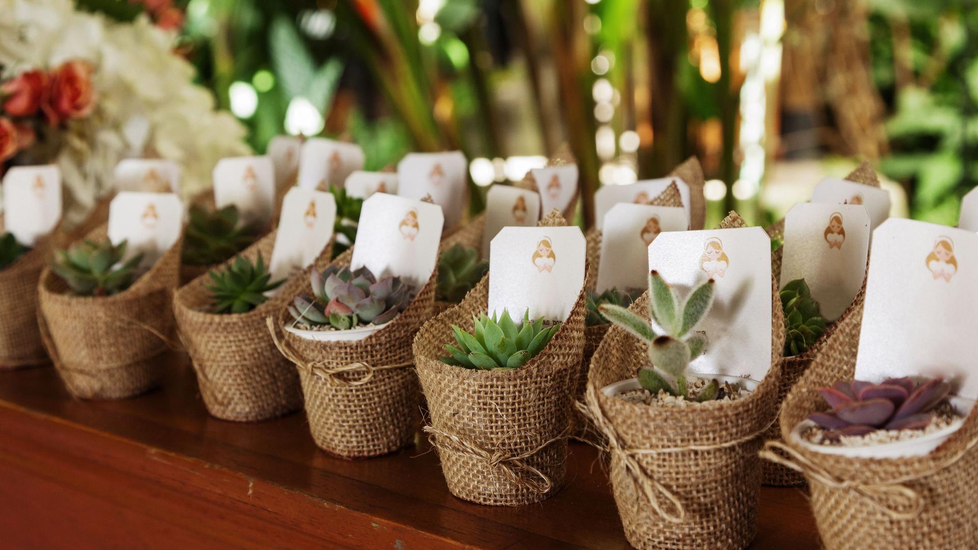 Kleine Topfpflanzen als Geschenke für Hochzeitsgäste