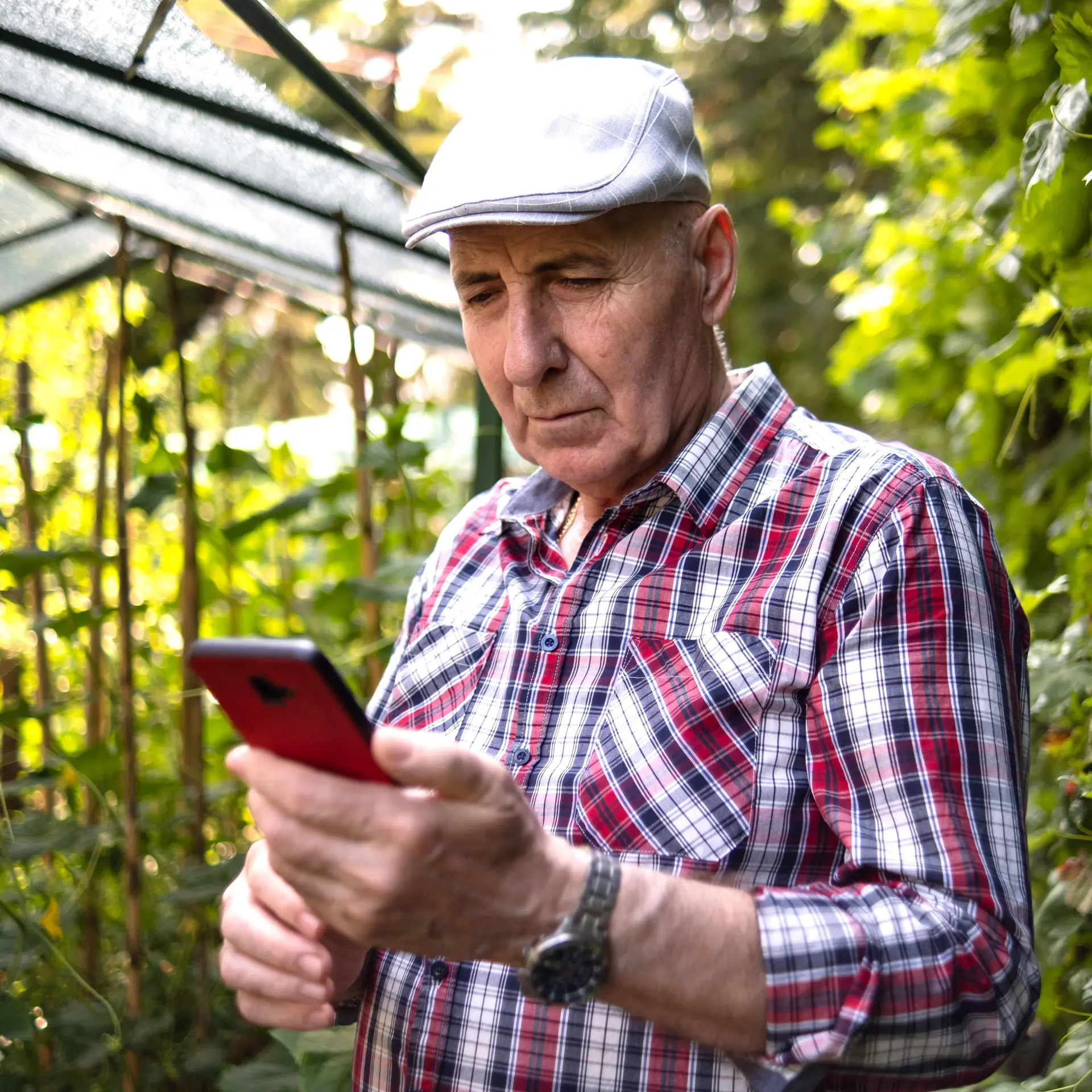 Ein älterer Mann steht in einem Garten, neben einem Gewächshaus. Er schaut auf sein Handy.