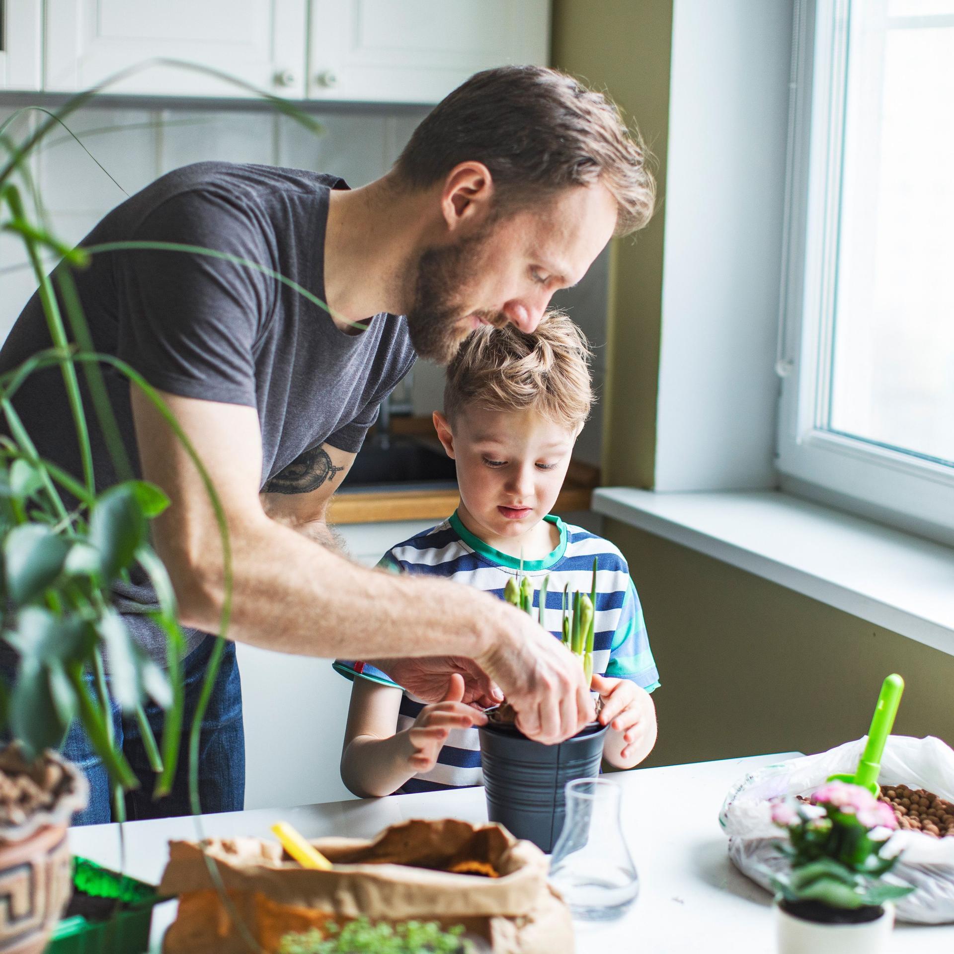 Ein Mann pflanzt mit seinem Sohn eine Pflanze in einen Topf.