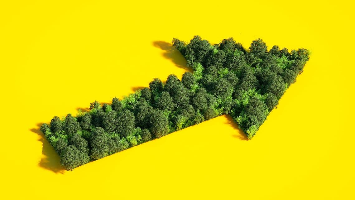 Das Bild zeigt einen grünen Pfeil, der aus dicht aneinandergereihten Bäumen und Sträuchern geformt ist und auf einem kräftig gelben Hintergrund nach rechts weist