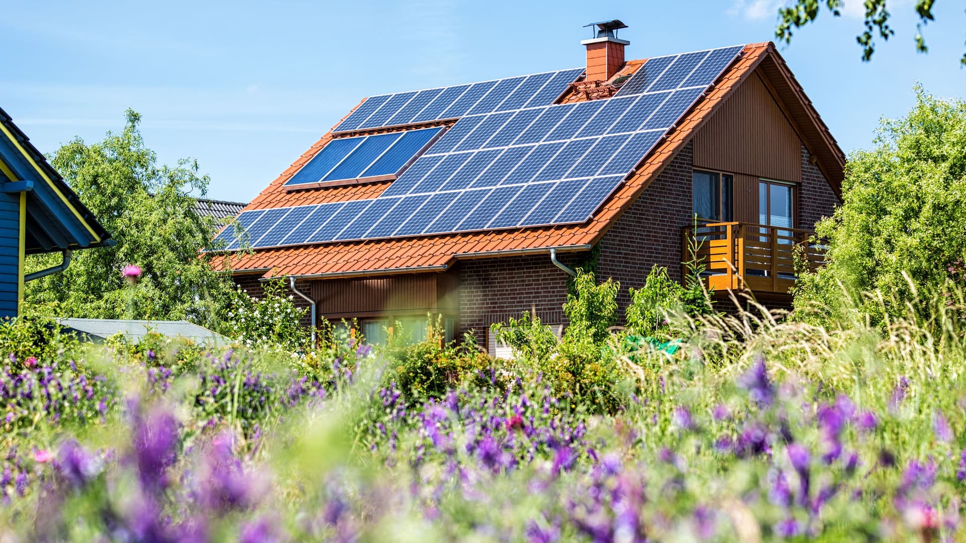 Ein Haus mit PV-Anlage auf einer Blumenwiese mit lila Blumen.