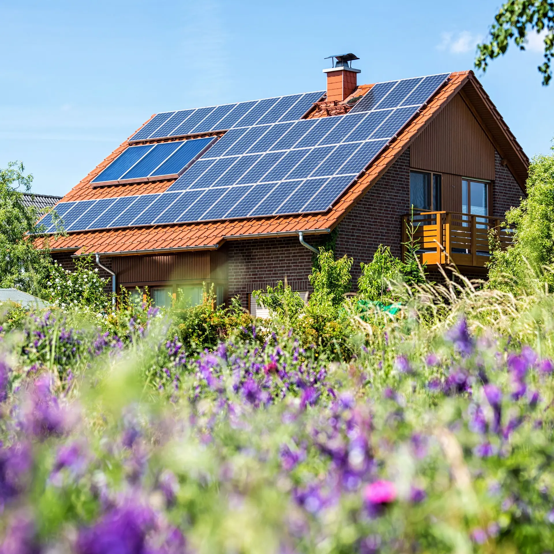Ein Haus mit PV-Anlage auf einer Blumenwiese mit lila Blumen.