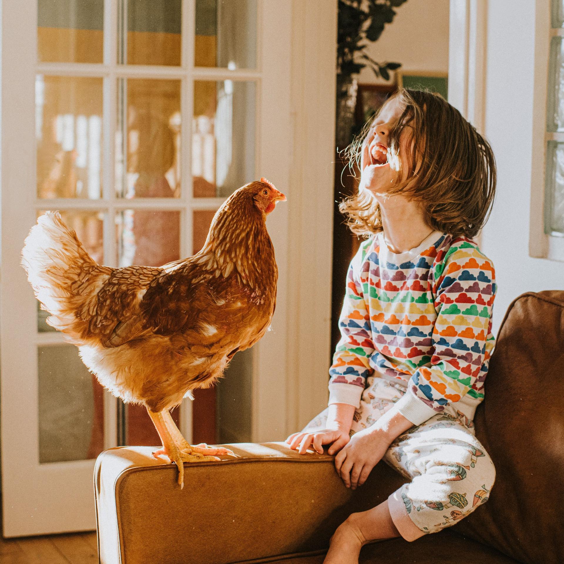 Huhn und ein glückliches Kind zusammen auf einem Ledersofa in einem sonnigen Wohnraum