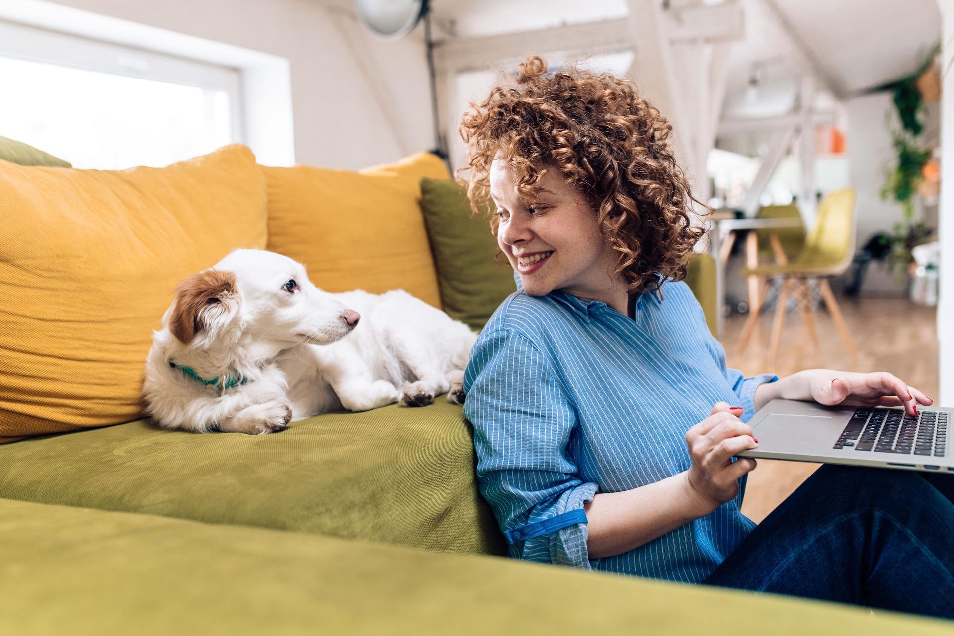 Eine junge Frau sitzt vor ihrem Sofa mit einem Laptop auf dem Schoß. Sie dreht sich um und guckt zu ihrem Hund, der auf dem Sofa sitzt.