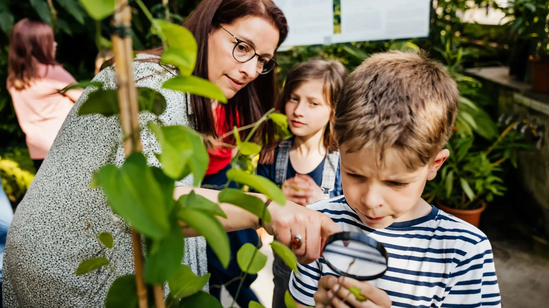 Eine Lehrerin steht mit ihren Schülern in einem Garten und schaut sich die Pflanzen genau an.