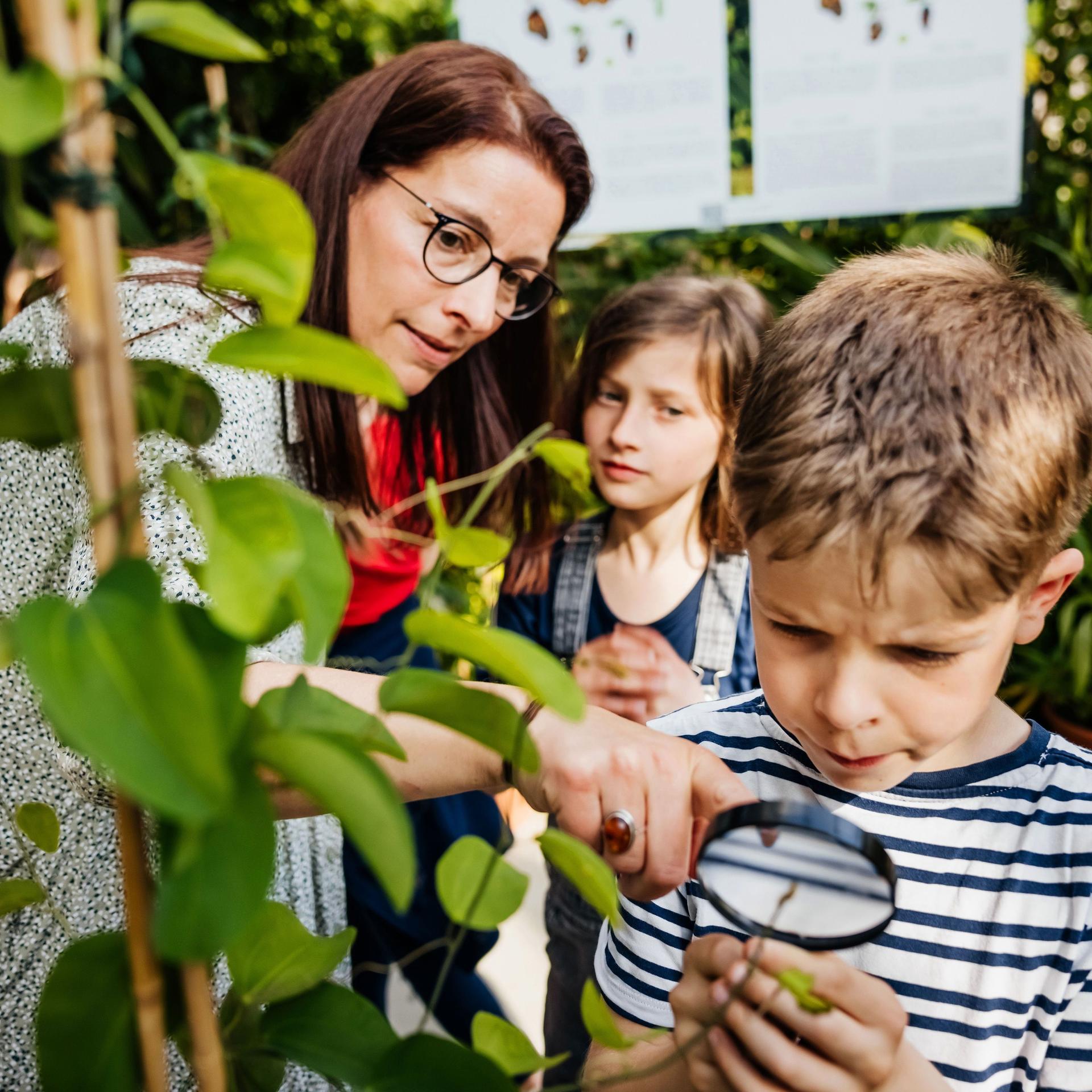 Eine Lehrerin steht mit ihren Schülern in einem Garten und schaut sich die Pflanzen genau an.
