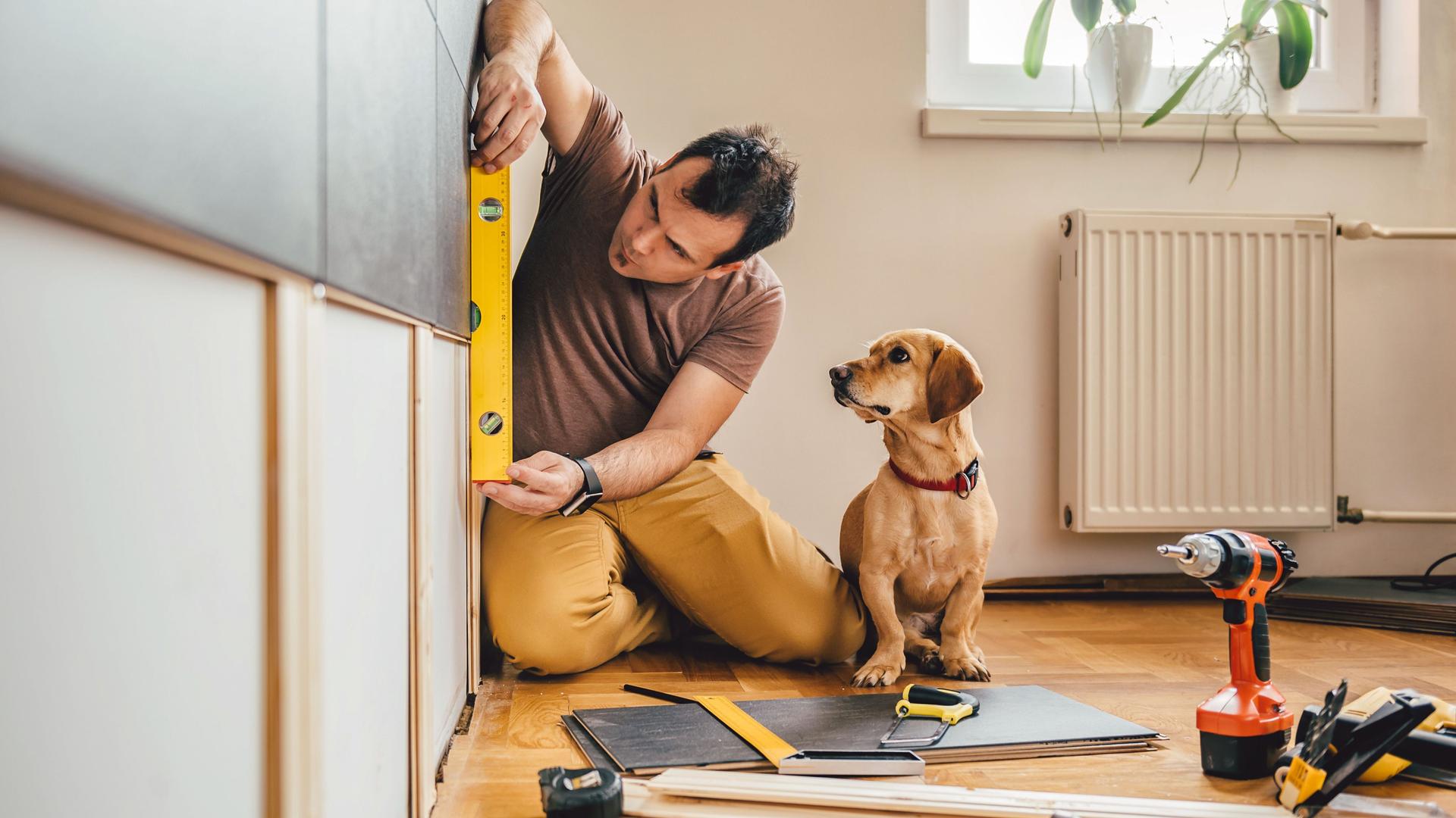 Mann und sein Hund bei Renovierungsarbeiten zu Hause