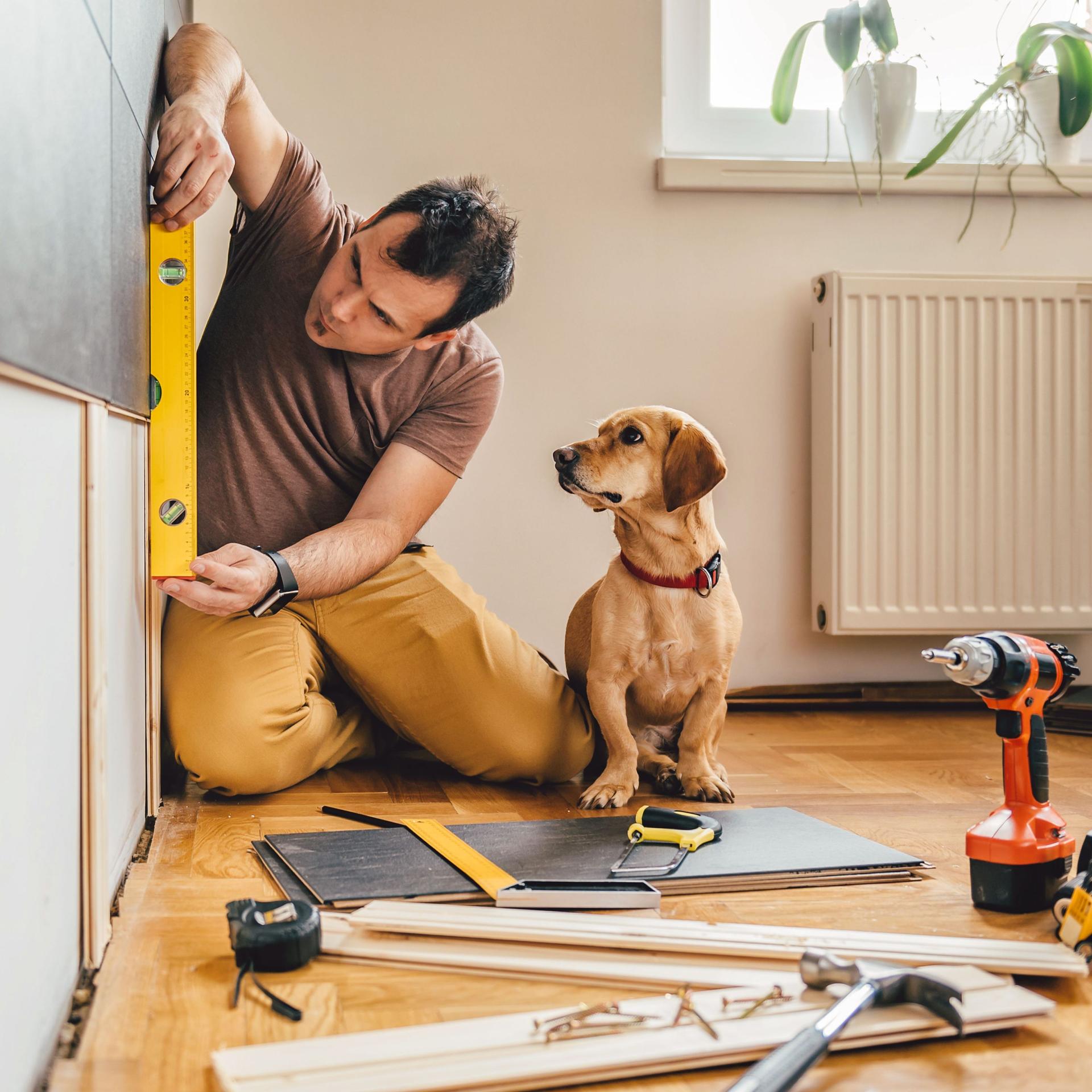 Mann und sein Hund bei Renovierungsarbeiten zu Hause