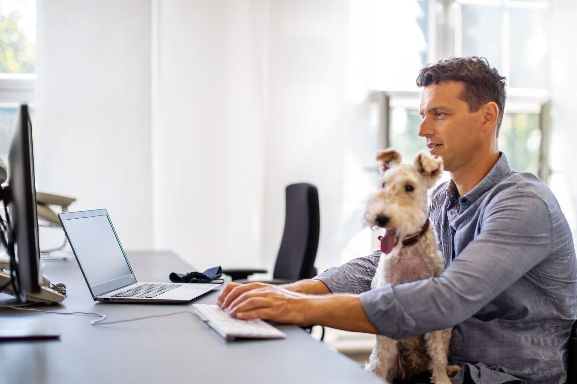 Mann im Rollstuhl sitzt mit Hund auf dem Schoß vor seinem Computer und schreibt mit der Tastatur.