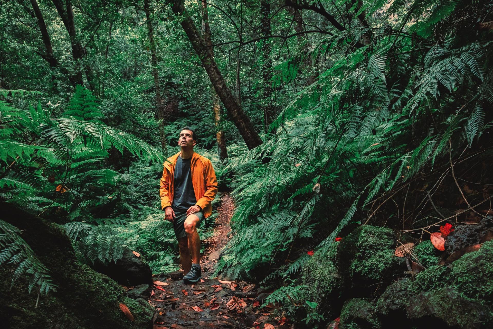Wanderer mit orangen Regenmantel, der im tiefen Wald der Insel Palma spaziert.