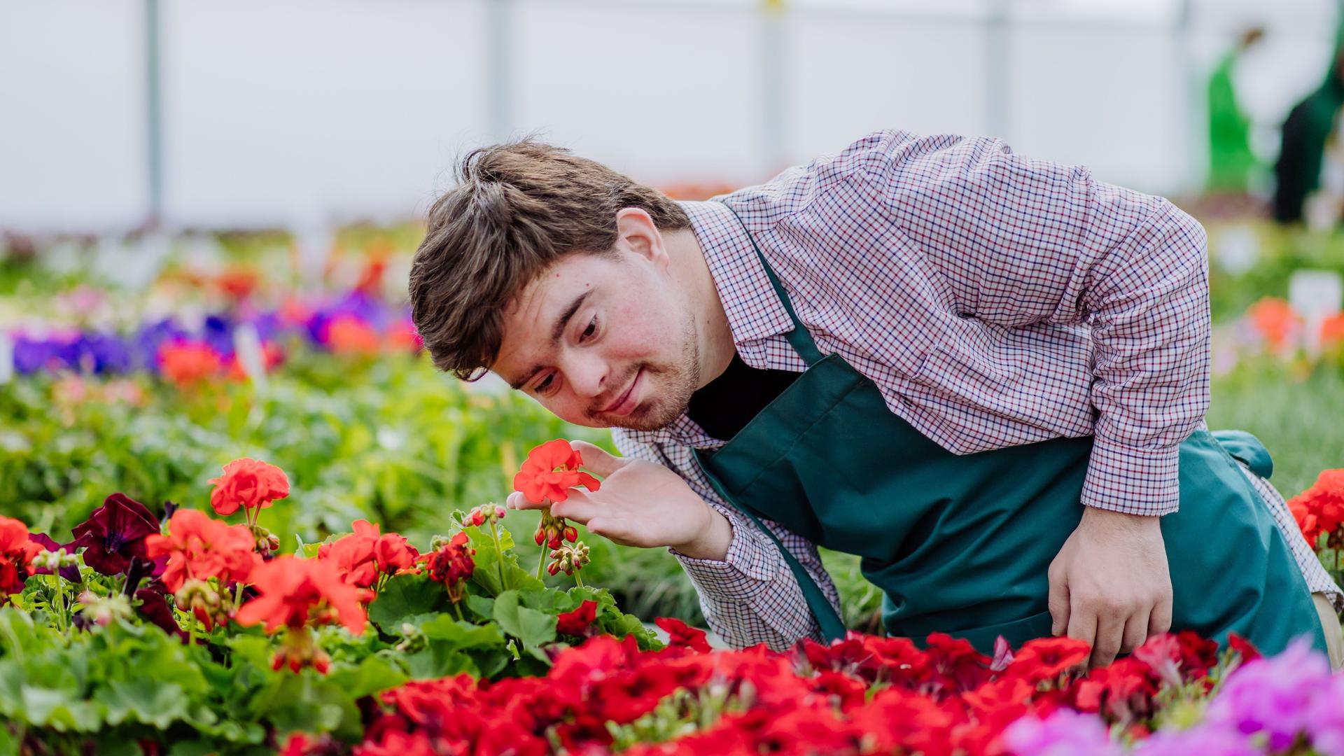 Ein Mitarbeiter mit Downsyndrom riecht an einer Blume in einer Gärtnerei.