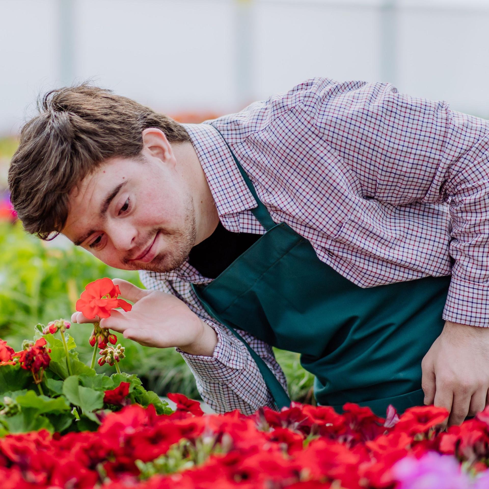 Ein Mitarbeiter mit Downsyndrom riecht an einer Blume in einer Gärtnerei.