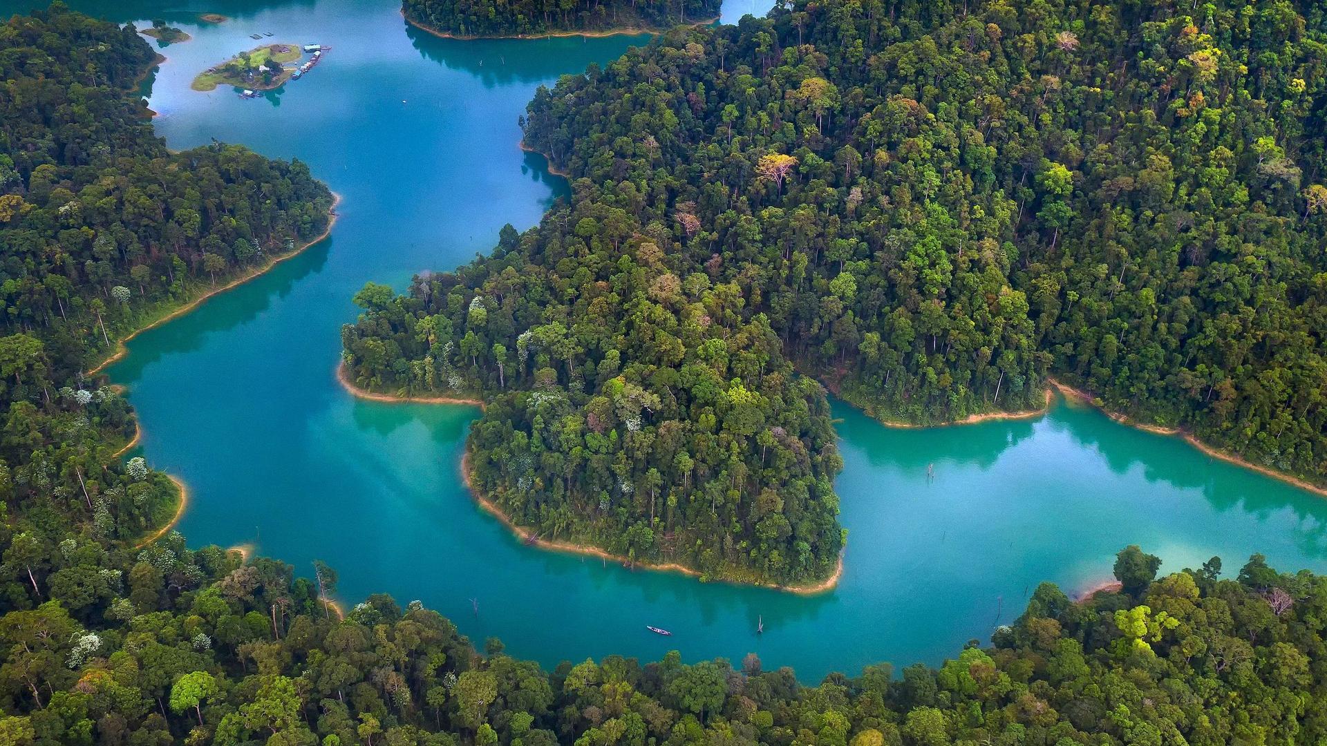 Luftaufnahme eines dichten Mangrovenwaldes durch den sich türkisblaue Gewässer ziehen. 
