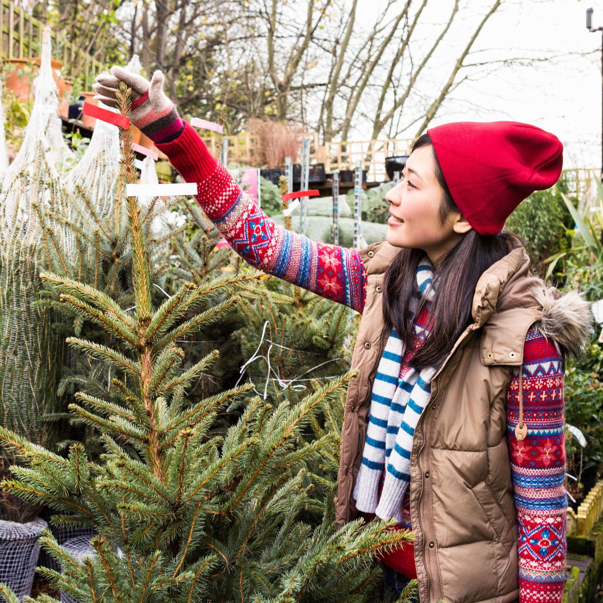 Eine Frau sucht sich einen Weihnachtsbaum im Gartencenter aus.