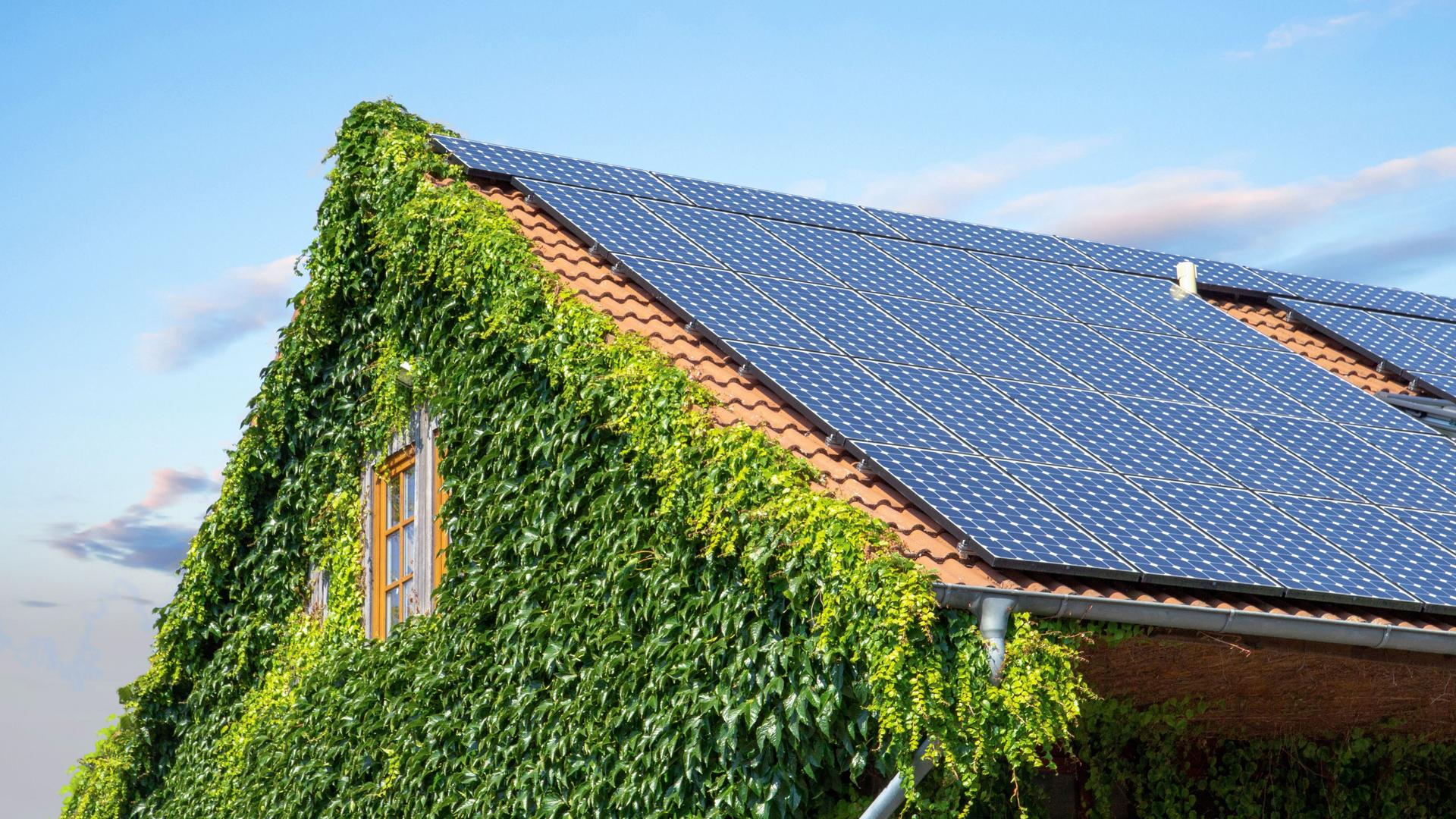 Dach eines Hauses mit Solarpanelen und mit Pflanzen bewachsenem Giebel.